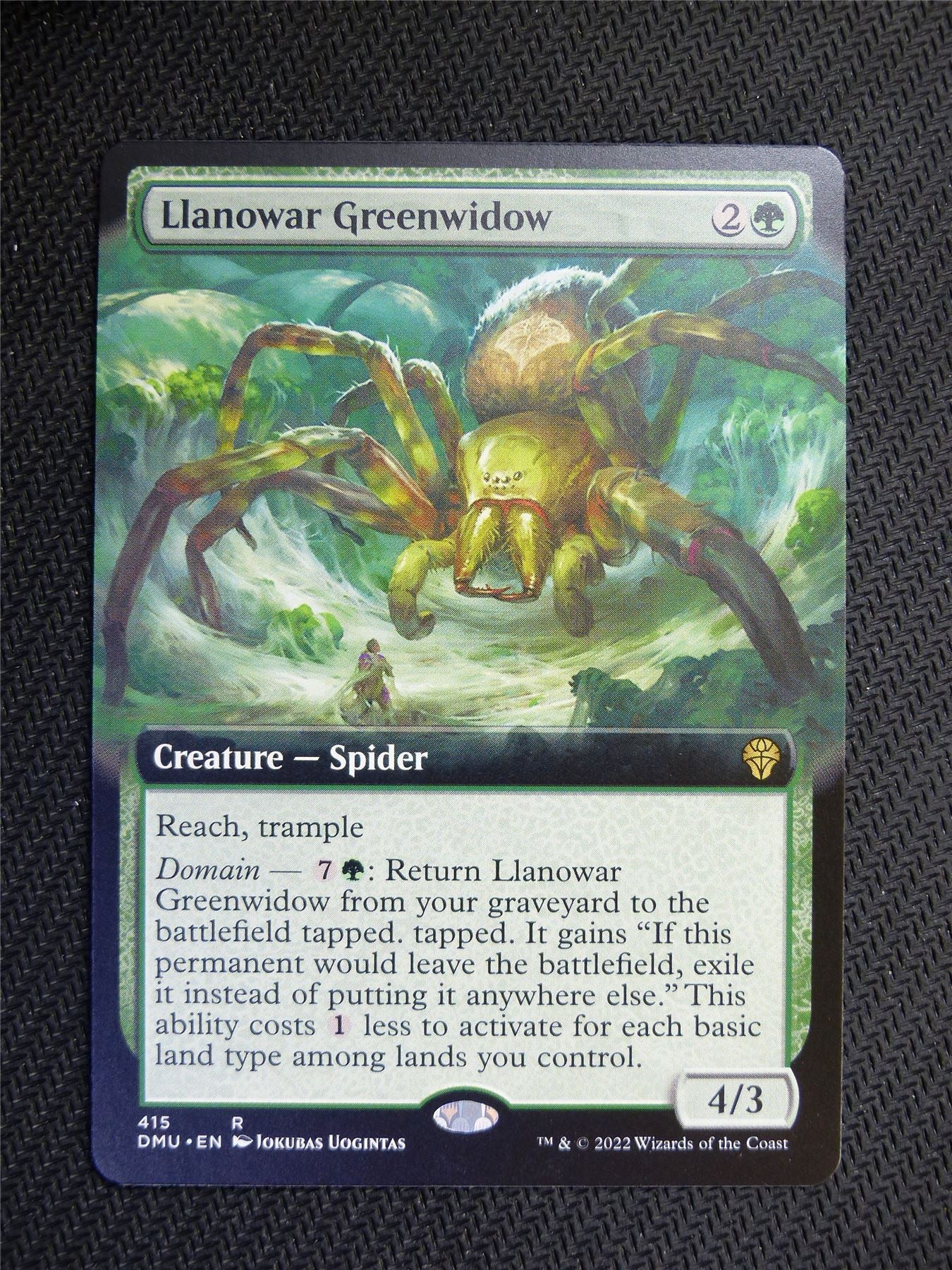Llanowar Greenwidow Borderless - Dominaria United - Mtg Card #7TZ