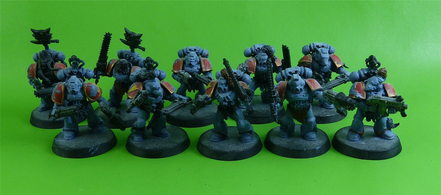 Space Wolves Squad - Warhammer AoS 40k #2L6