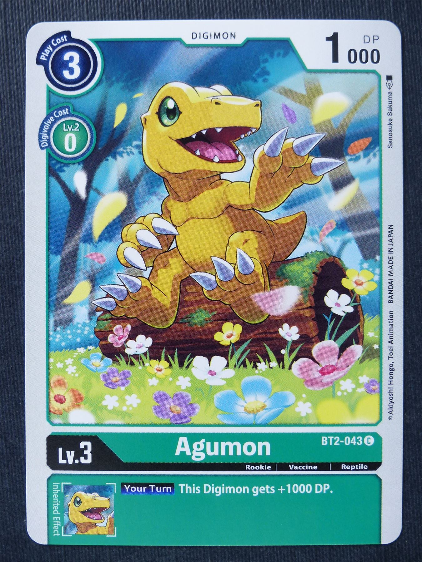 Agumon BT2-043 C - Digimon Cards #TO Archeron Agumon BT2-043 C - Digimon Cards #TO Archeron