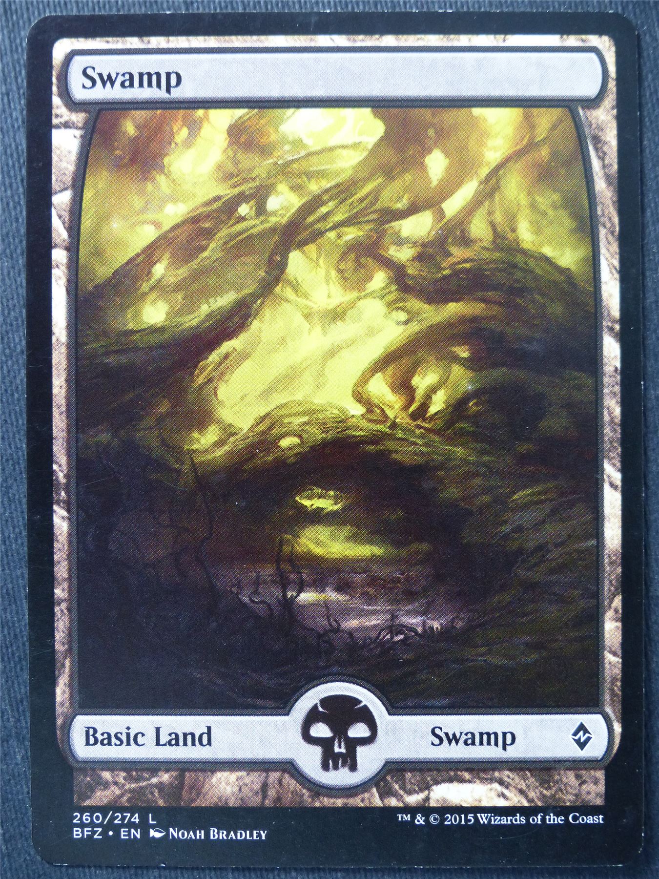 Swamp Full Art 260/274 - Mtg Magic Cards #D4