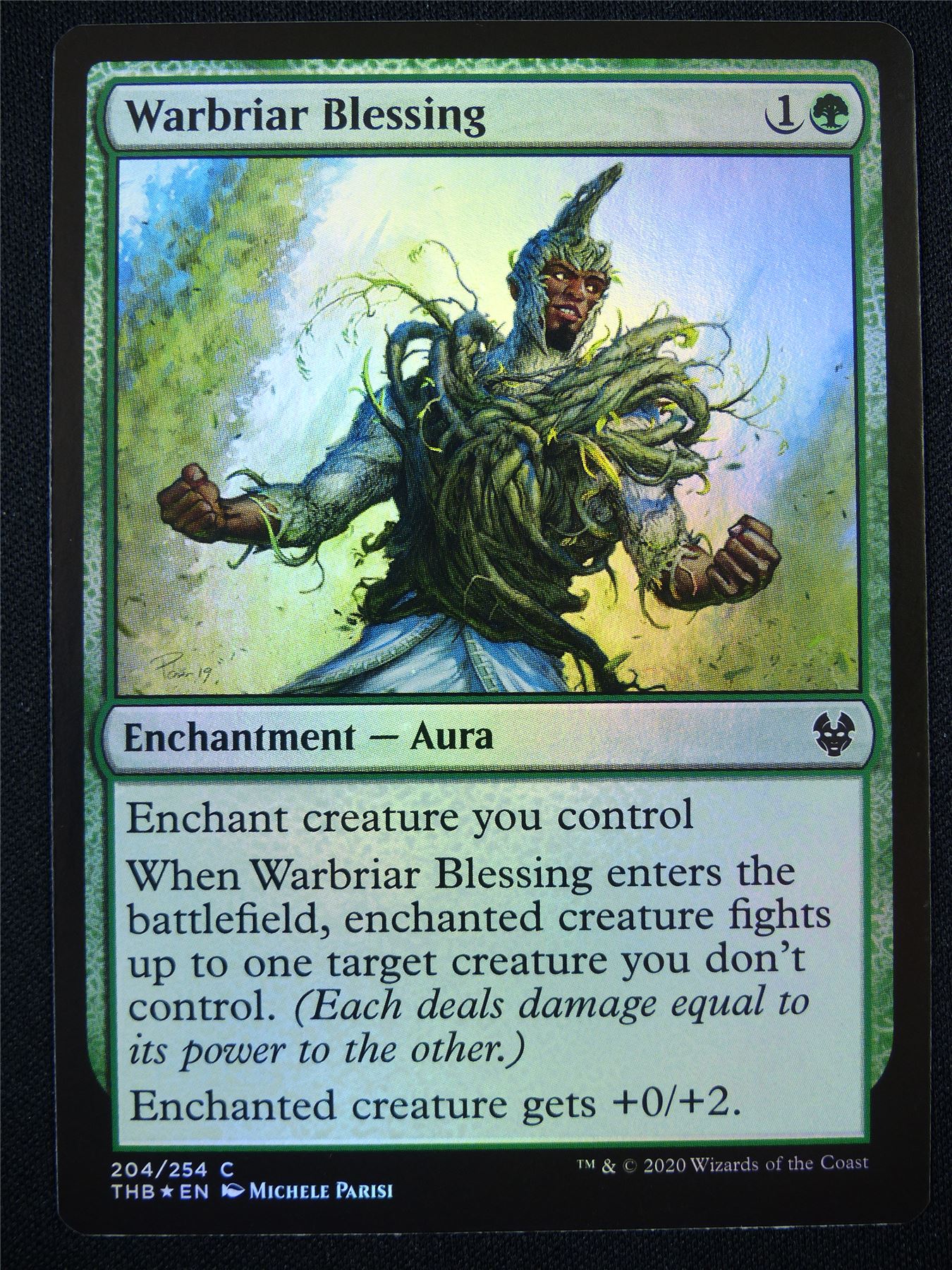 Warbriar Blessing Foil - Mtg Card #1J1