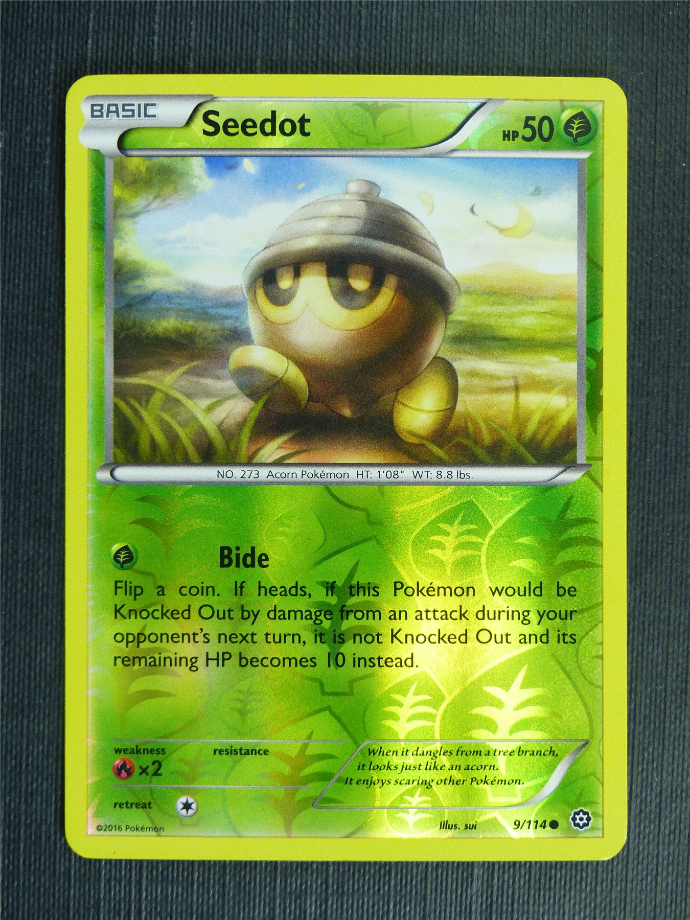seedot pokemon card Seedot 9/114 Reverse Holo