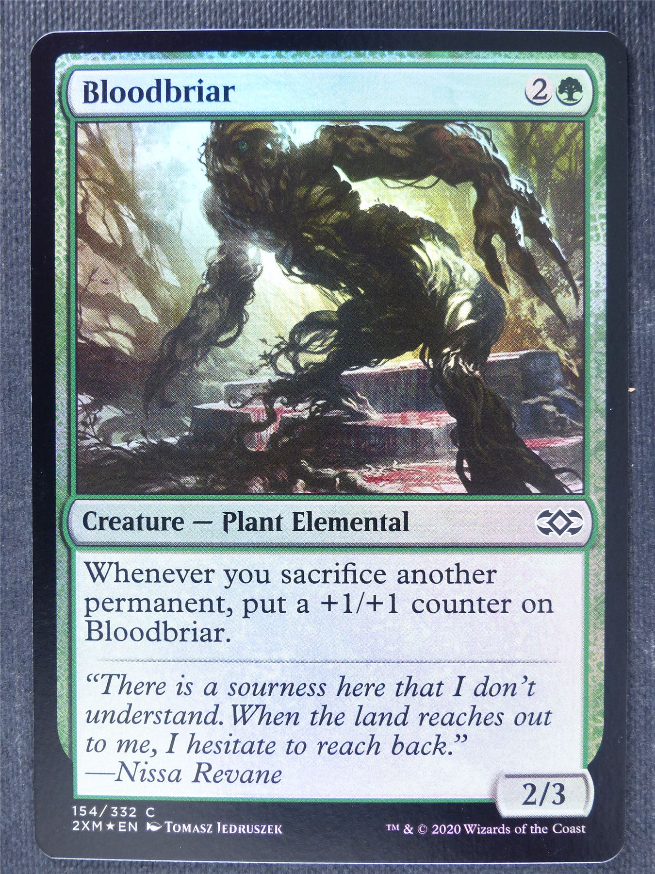 Bloodbriar Foil - Mtg Magic Cards #QV