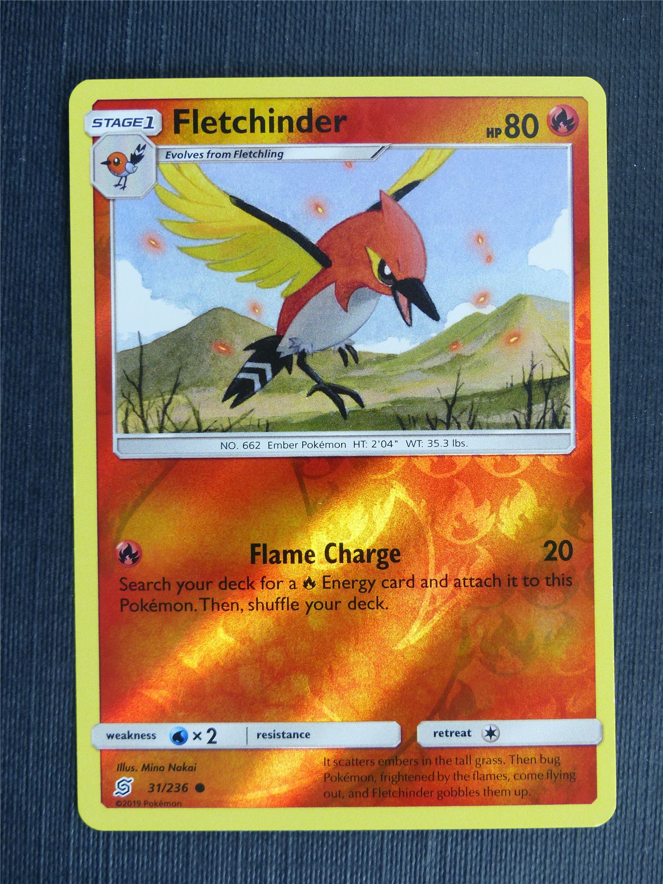 Fletchinder 31/236 Reverse Holo