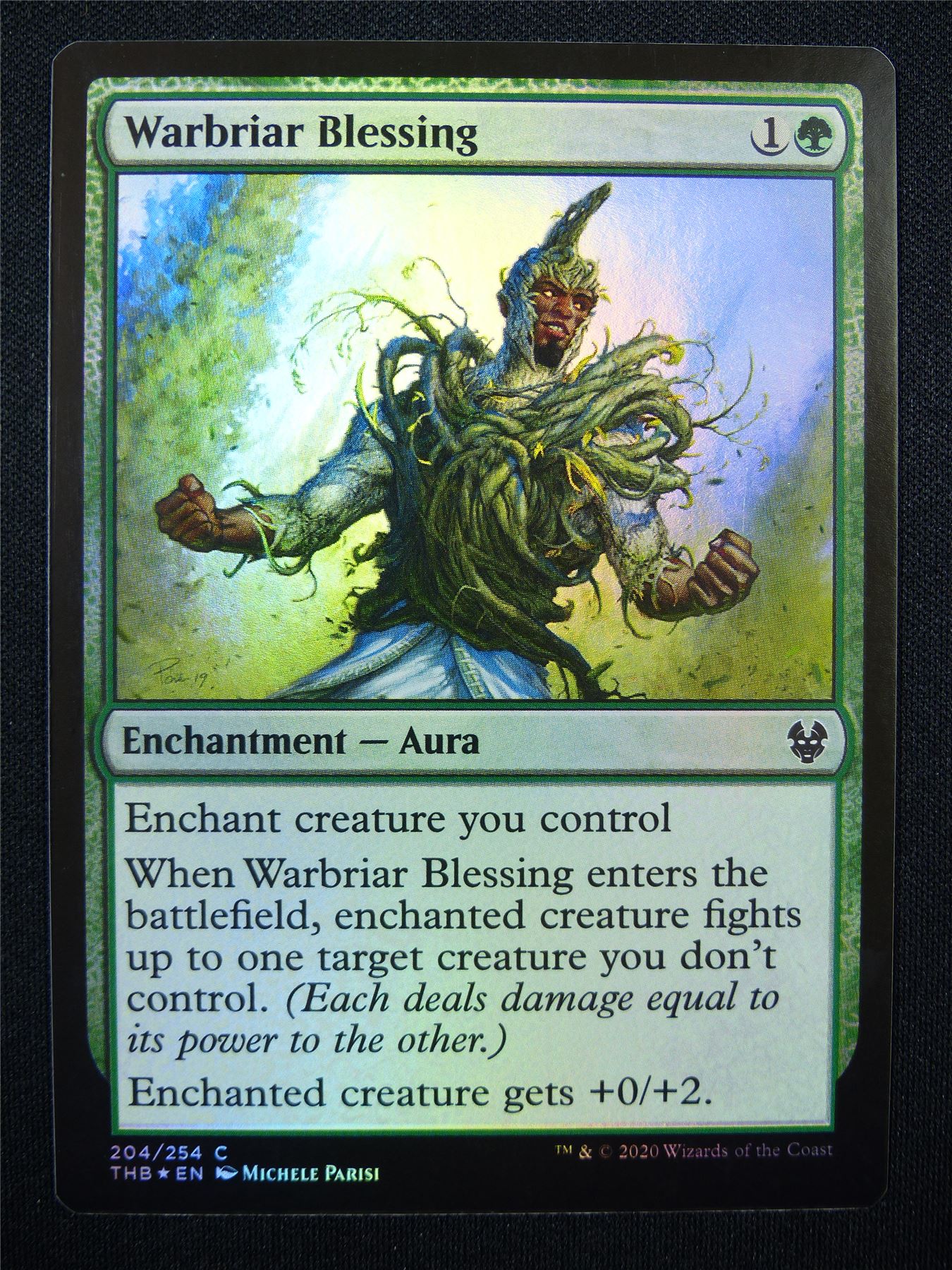 Warbriar Blessing Foil - Mtg Cards #80