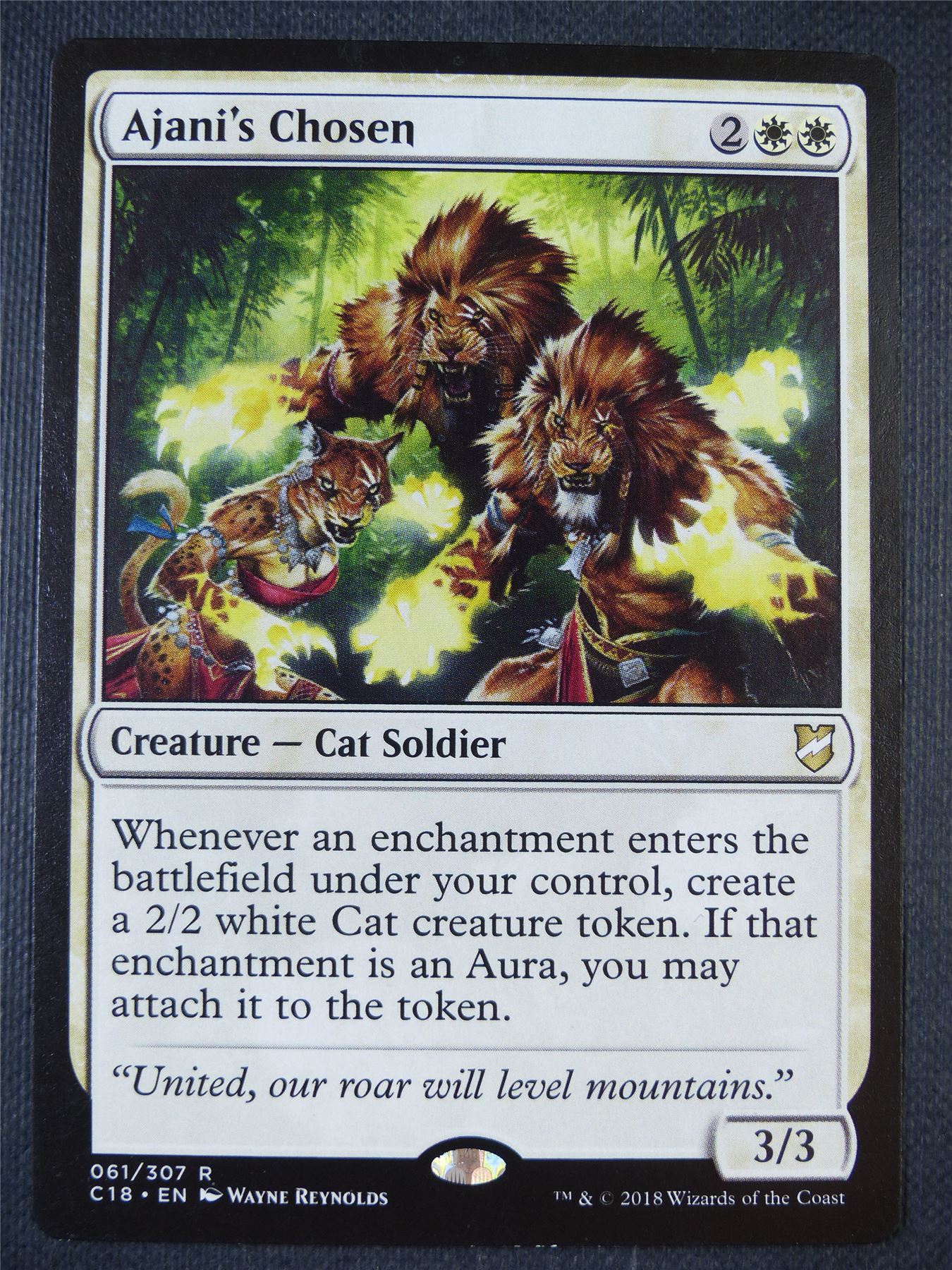 Ajani's Chosen - Mtg Card #88C