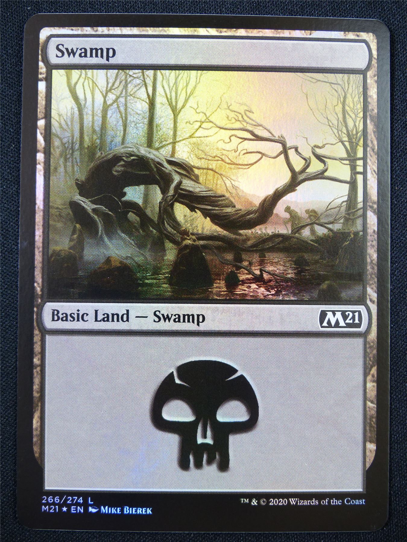 Swamp 266/274 Foil - Mtg Card #231