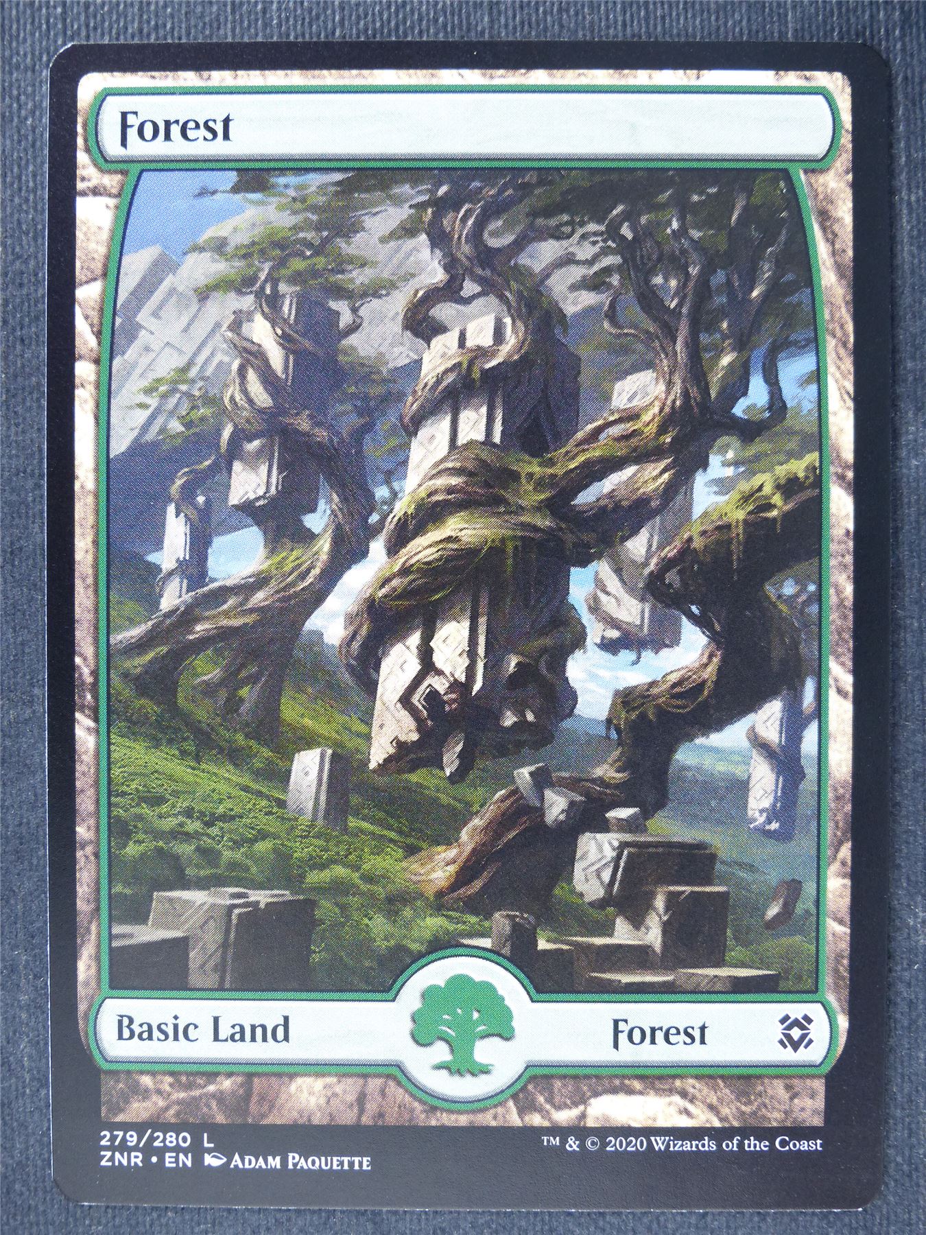 Forest 279/280 Full Art - Mtg Magic Cards #PK