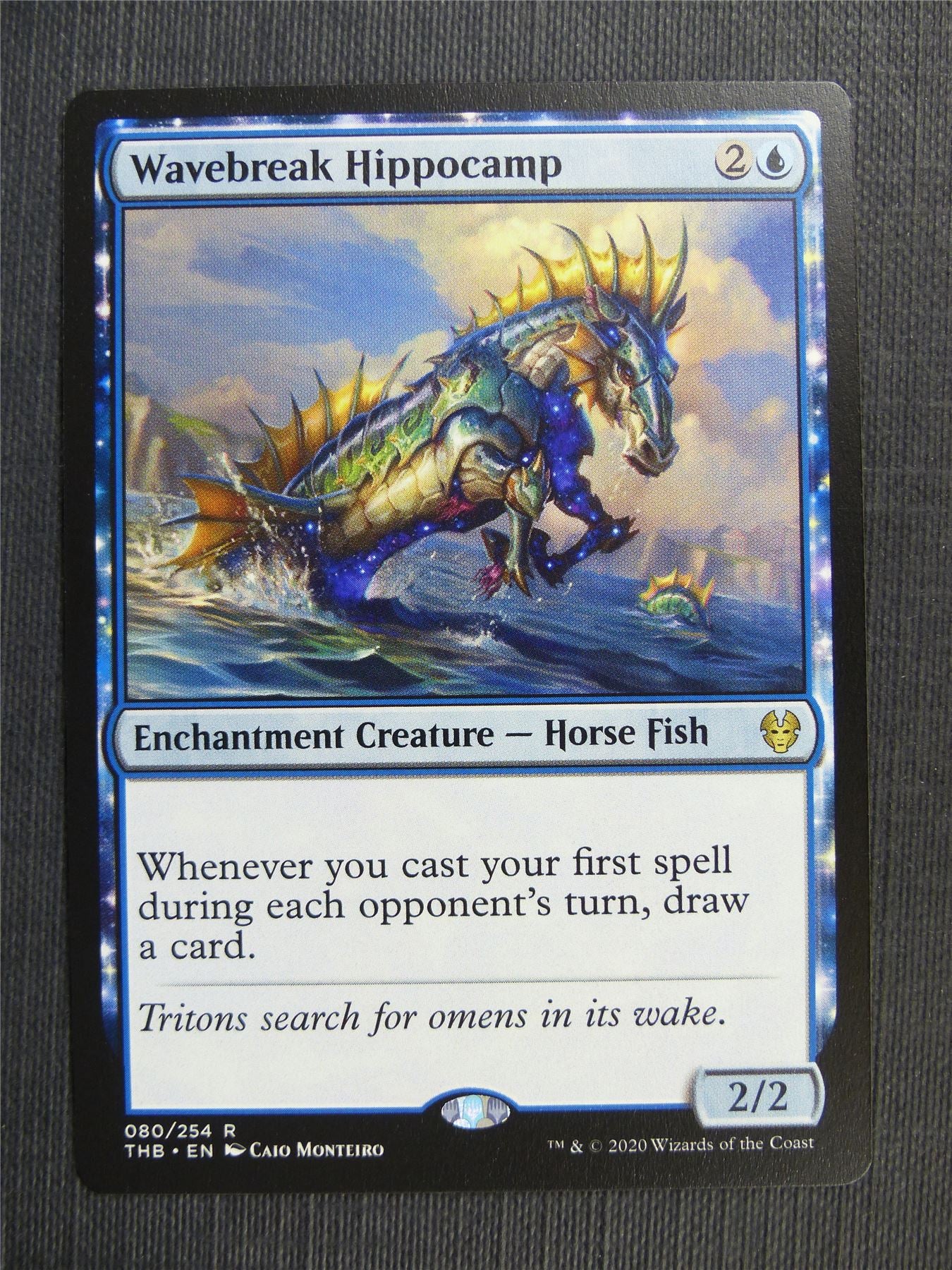 Wavebreak Hippocamp #3TN