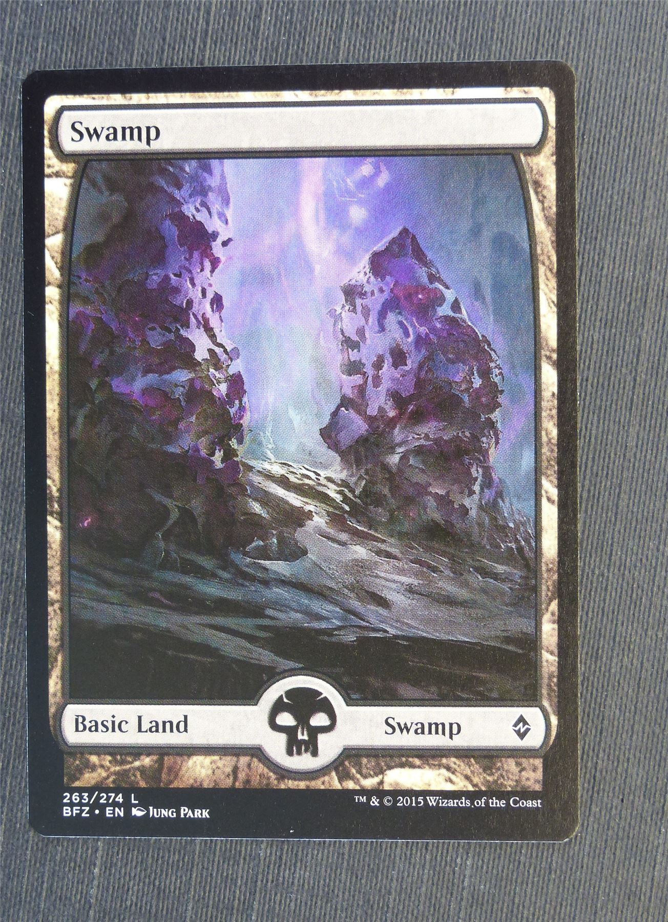 Swamp Full Art 263/274 - Mtg Magic Cards #5ER