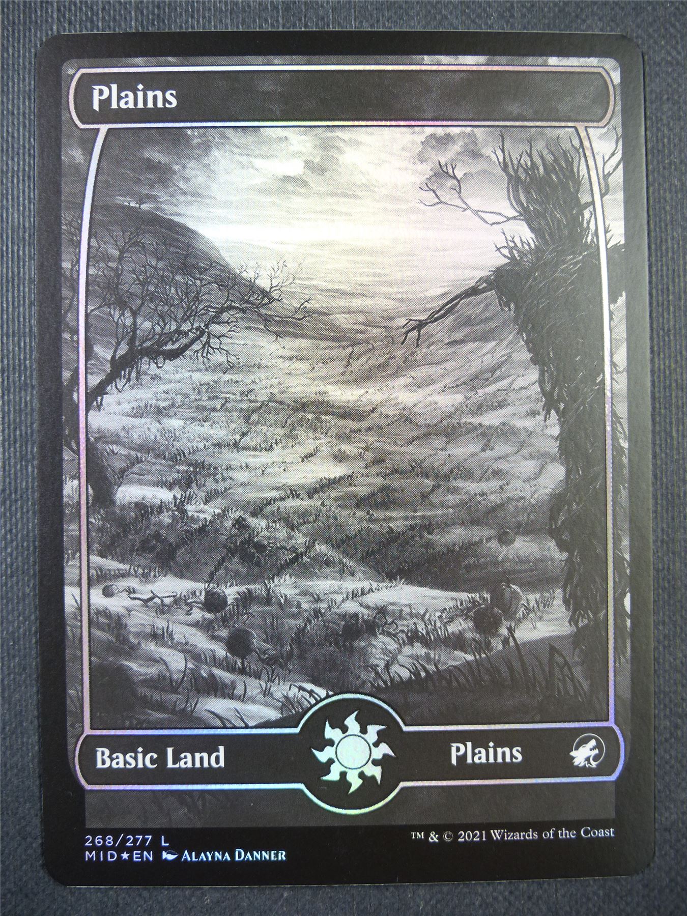 Plains 268/277 Full Art Foil - Mtg Card #6TX