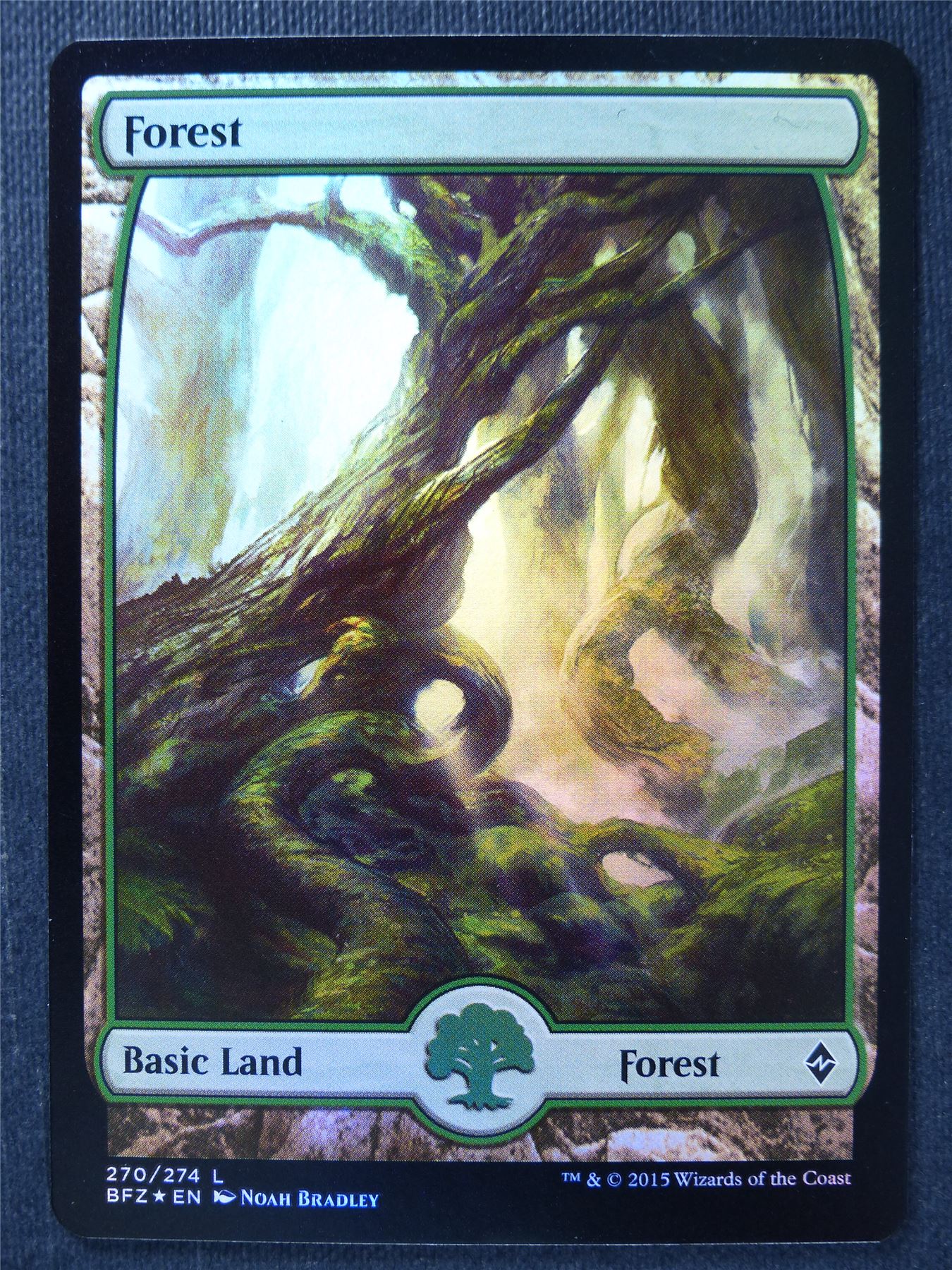 Forest 270/274 Full Art Foil - Mtg Magic Card #W4