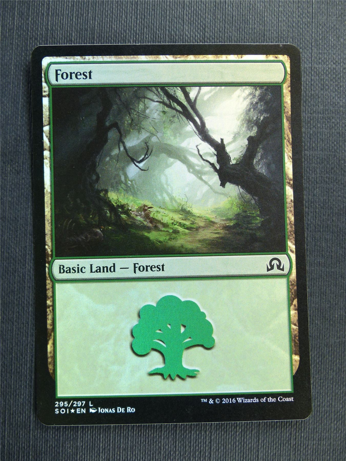 Forest 295/297 Foil - Mtg Magic Cards #4CQ