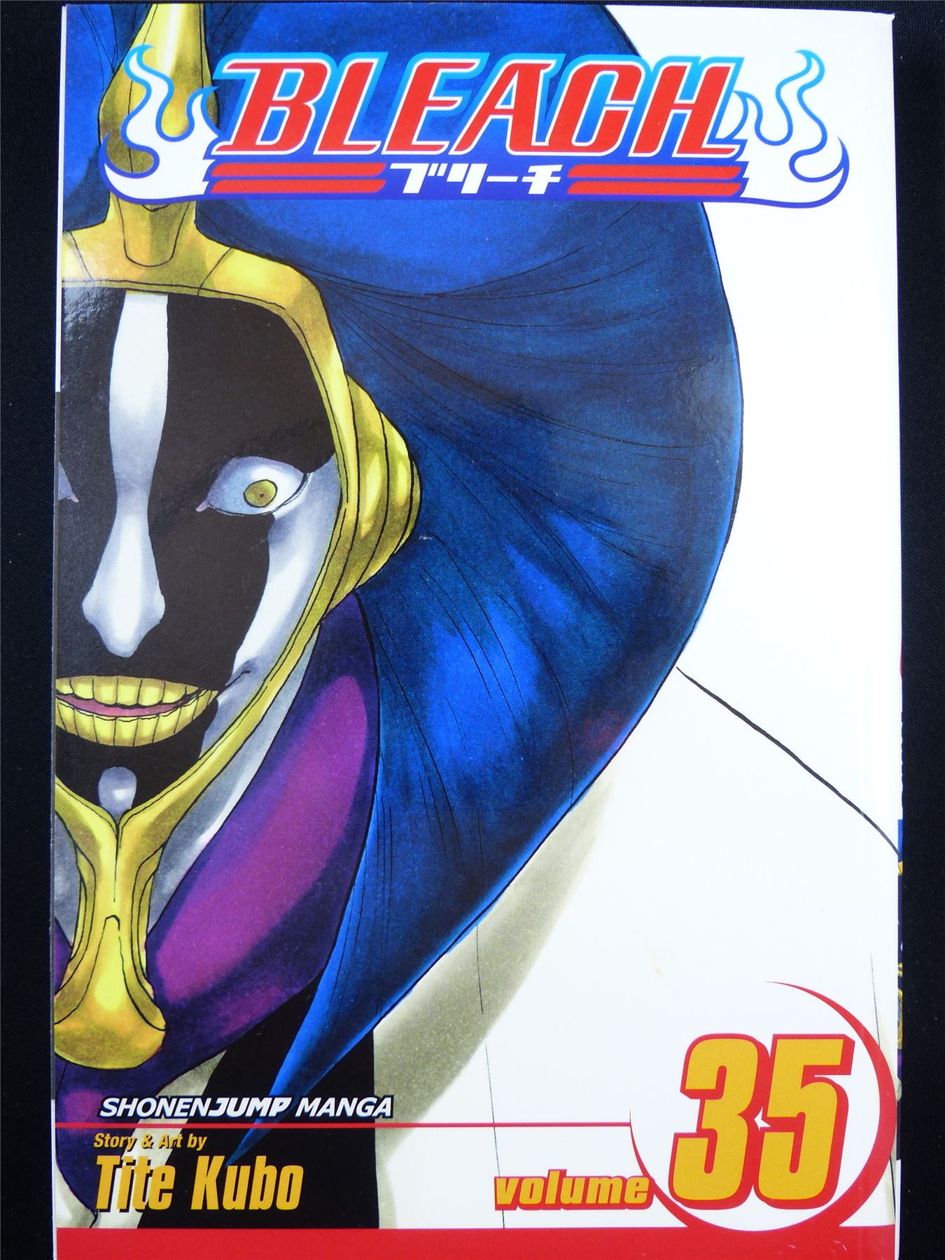 BLEACH Volume 35 - Shonen Jump Viz Manga #3J9