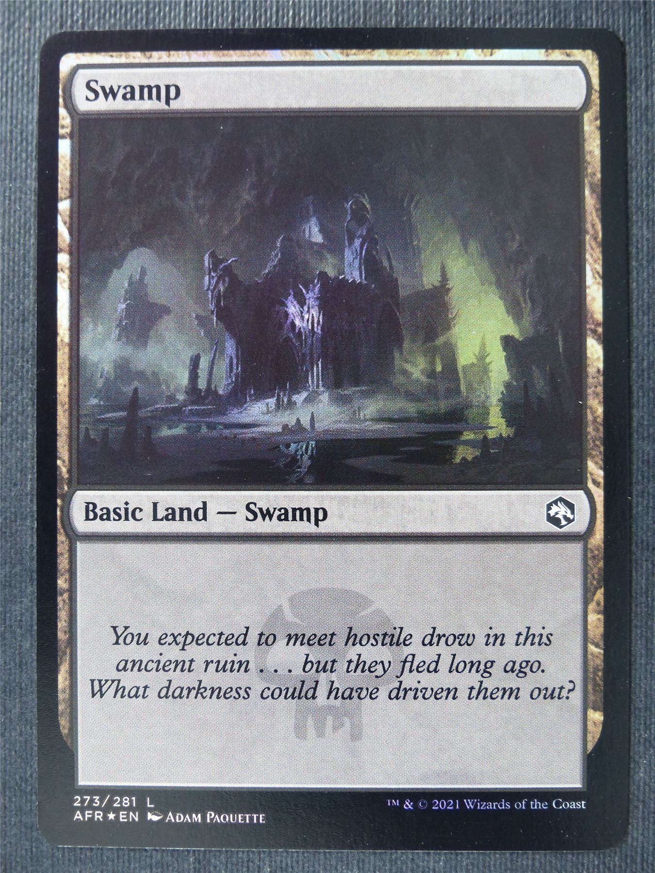 Swamp 273/281 Foil - AFR - Mtg Card #2C7