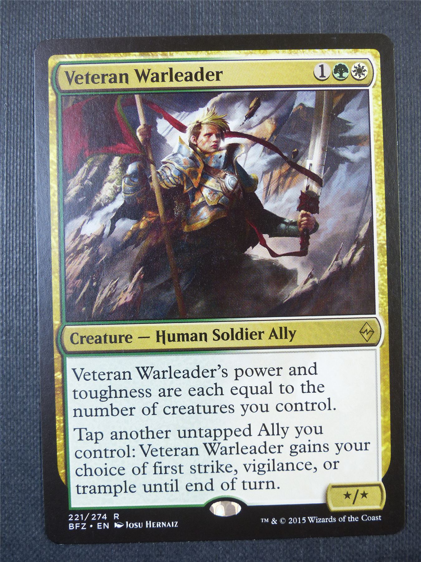 Veteran Warleader - Mtg Card #8VU