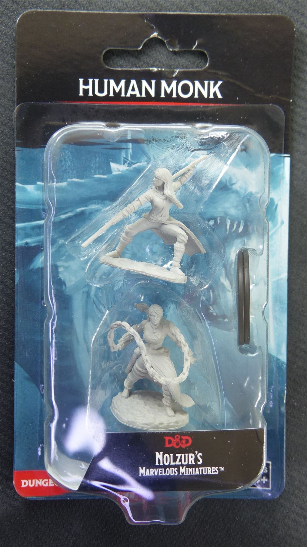 Human Monk - Nolzurs Marvelous Miniatures - Dungeons and Dragons #8S