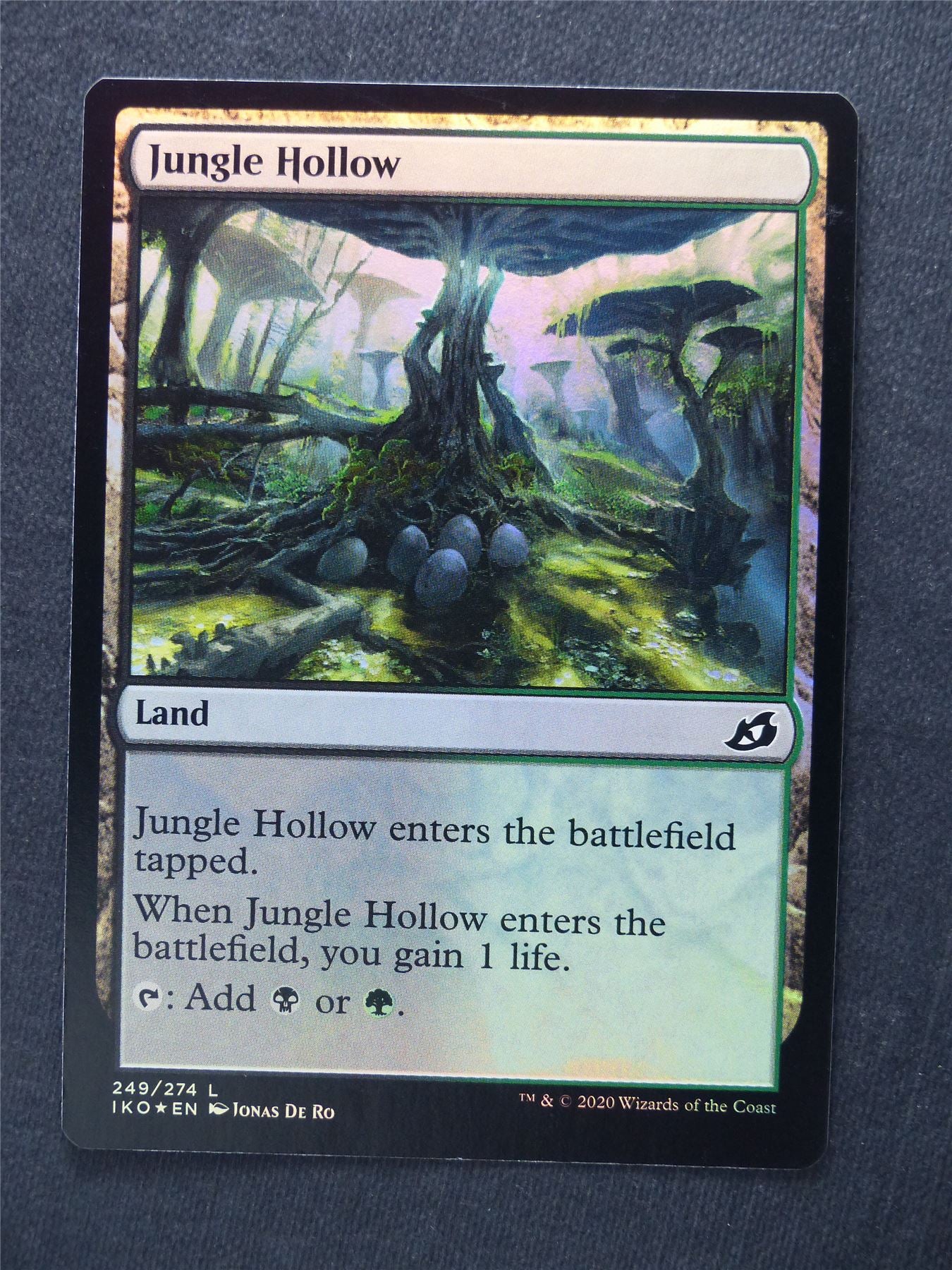 Jungle Hollow Foil - Mtg Magic Cards #XL