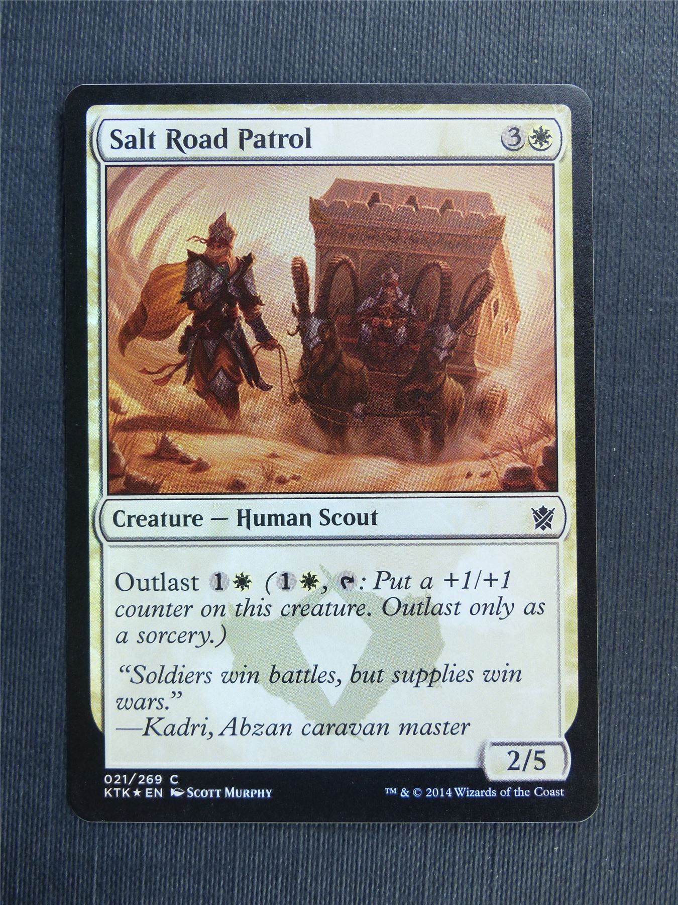 Salt Road Patrol Foil - Mtg Magic Cards #38X