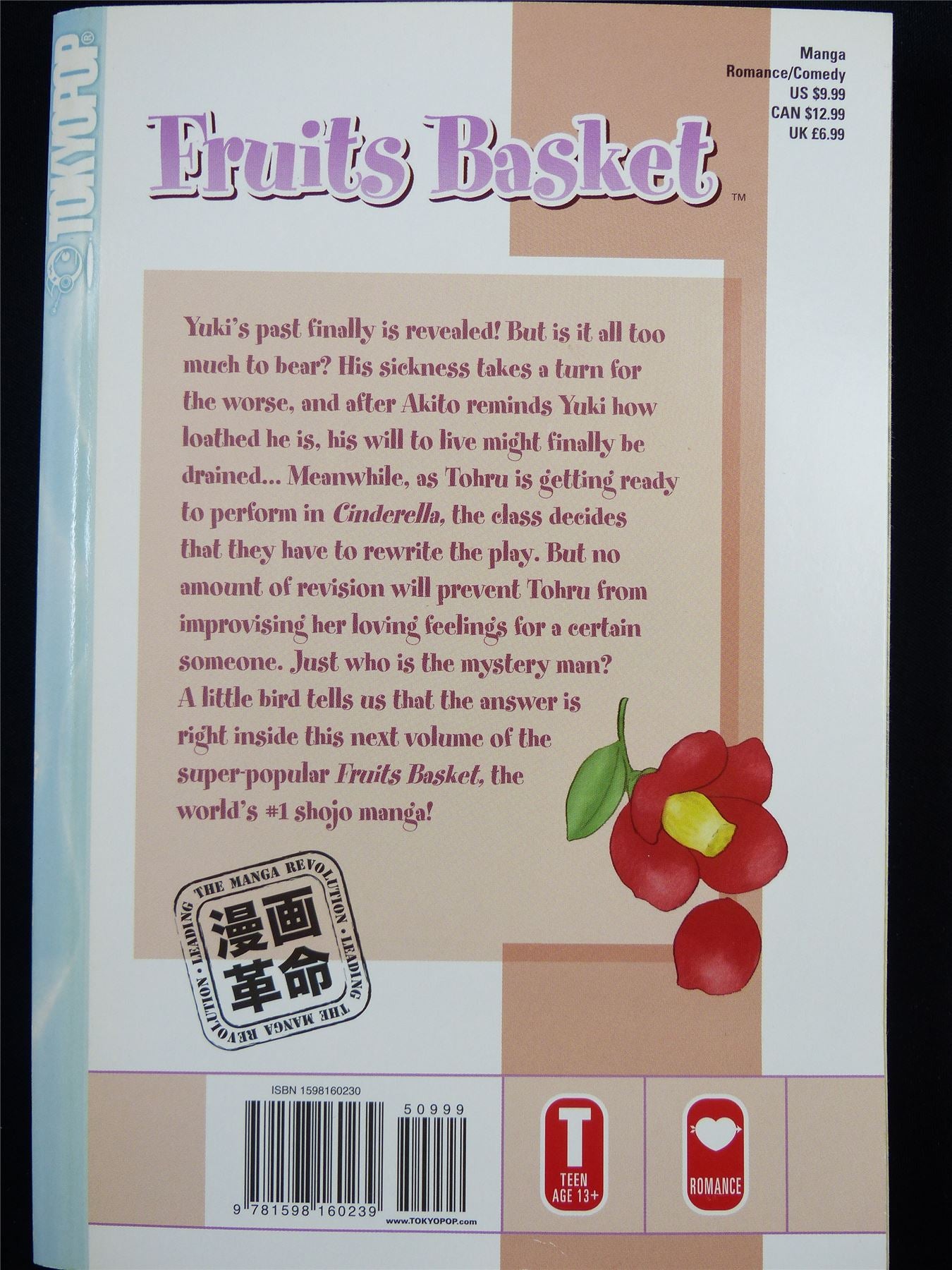 FRUIT Basket Volume 15 - Tokyo Pop Manga #3JP