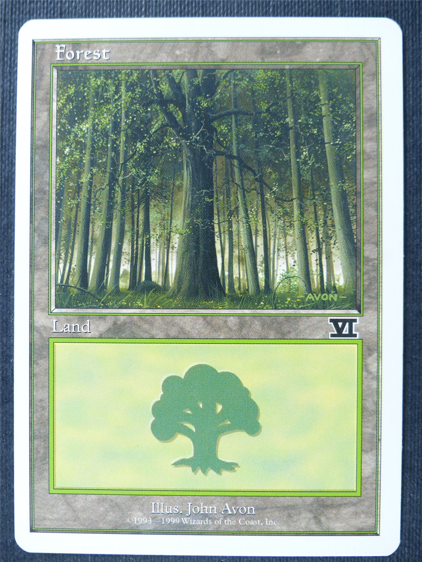 Forest - Sixth Ed - Mtg Card #1Y7