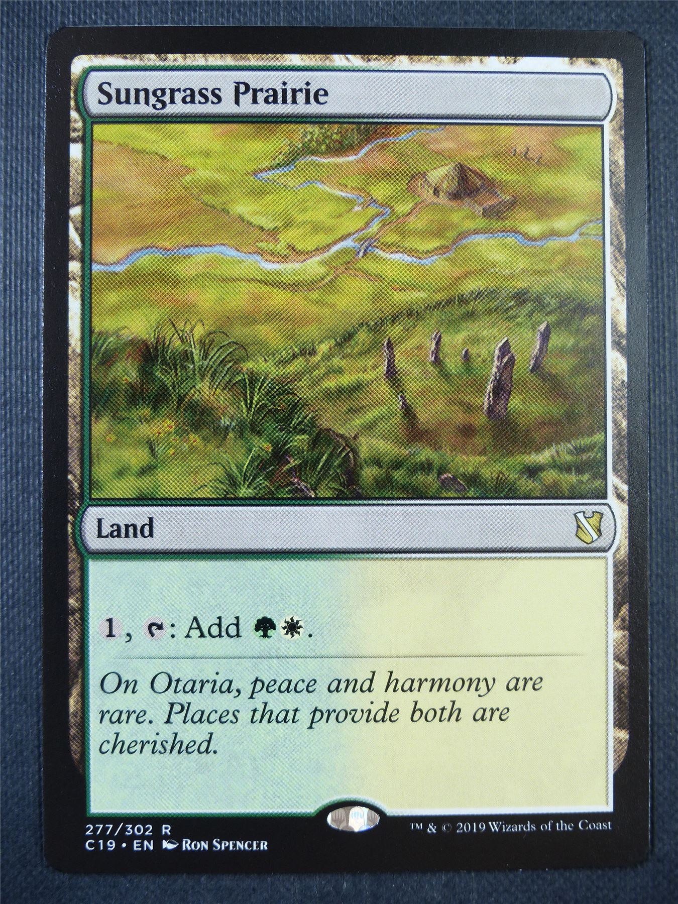 Sungrass Prairie - Mtg Card #71S