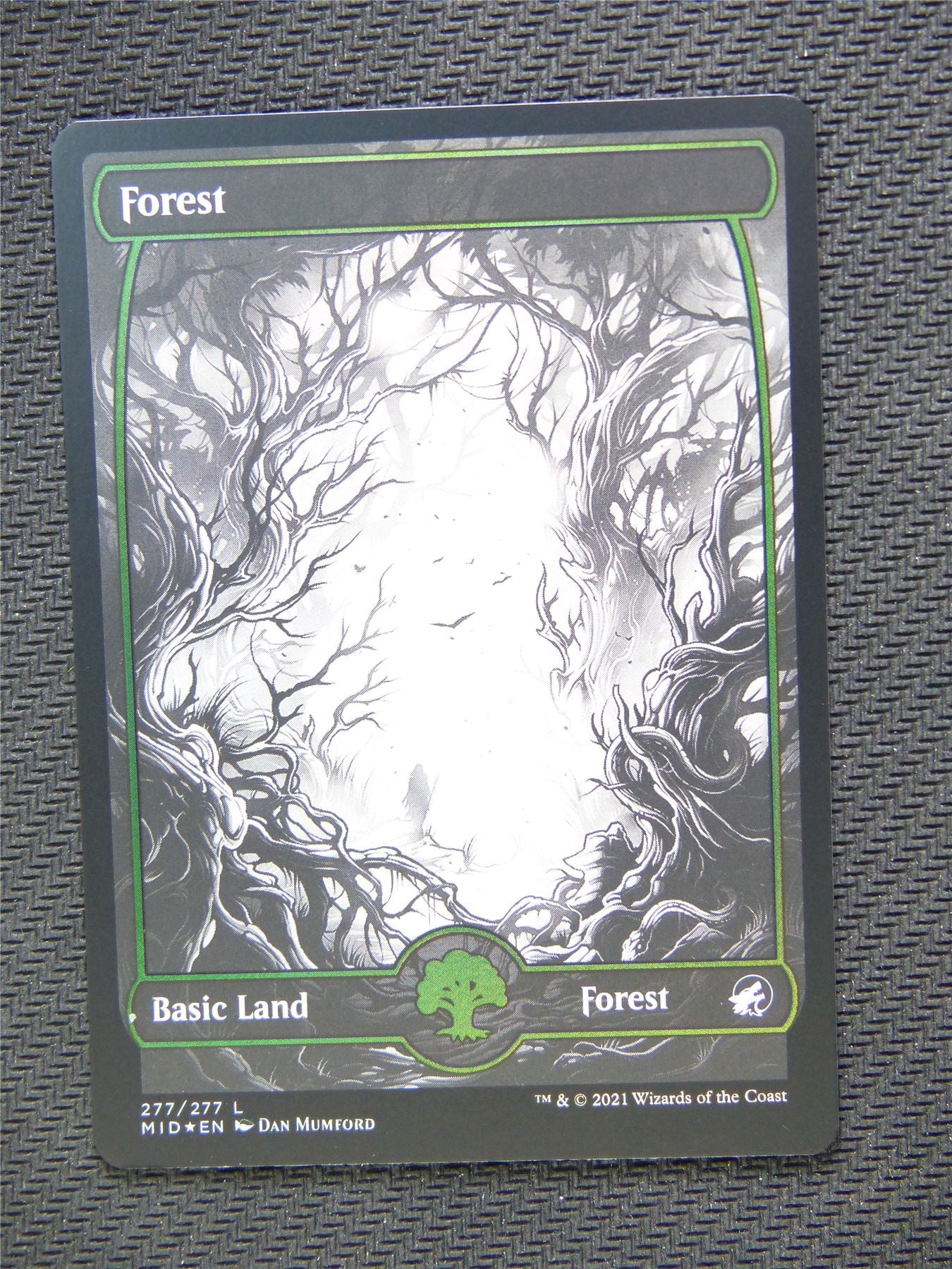 Forest Basic Land Foil - Innistrad - Mtg Card #3QU