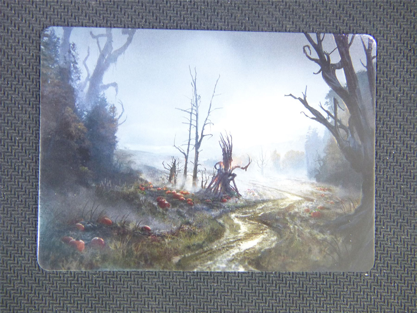 Overgrown Farmland Art Card 74 - Innistrad Midnight Hunt Art Series - Mtg Card #3EB