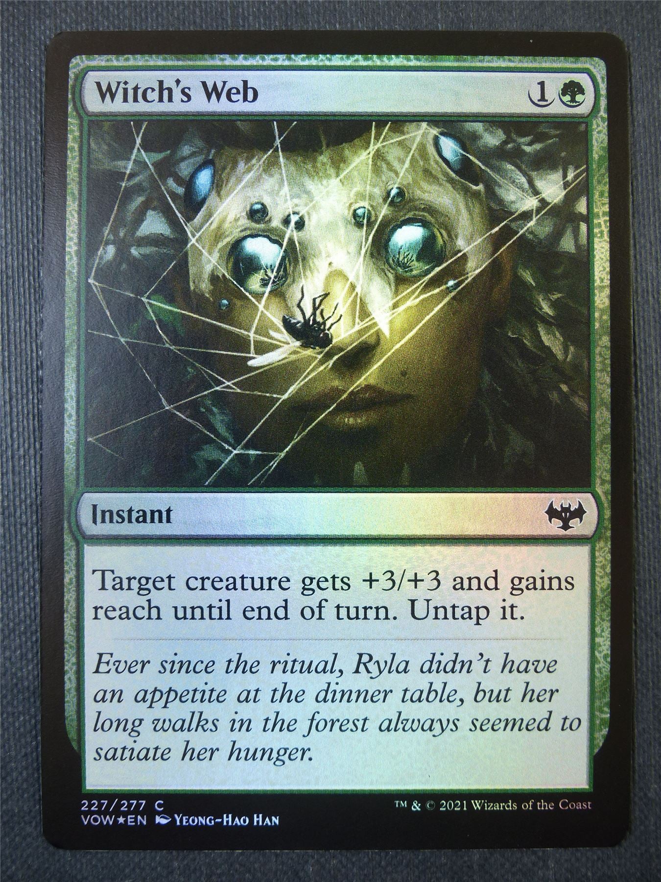 Witch's Web Foil - Mtg Card #99C