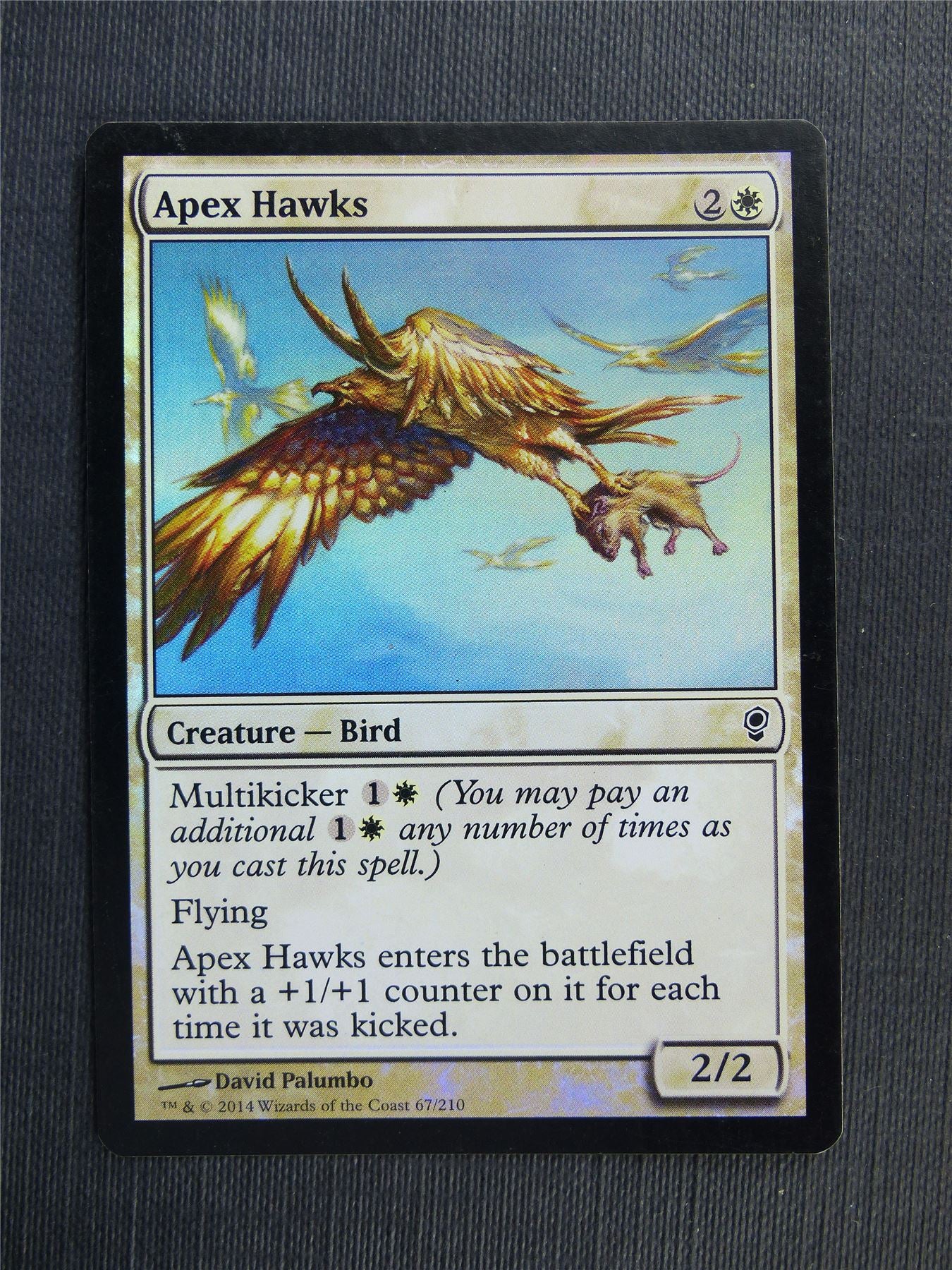 Apex Hawks Foil - Mtg Magic Cards #38K