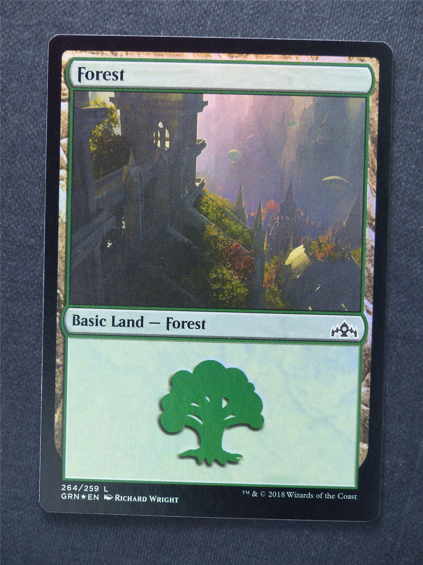Forest 264/259 Foil - Mtg Magic Cards #YO