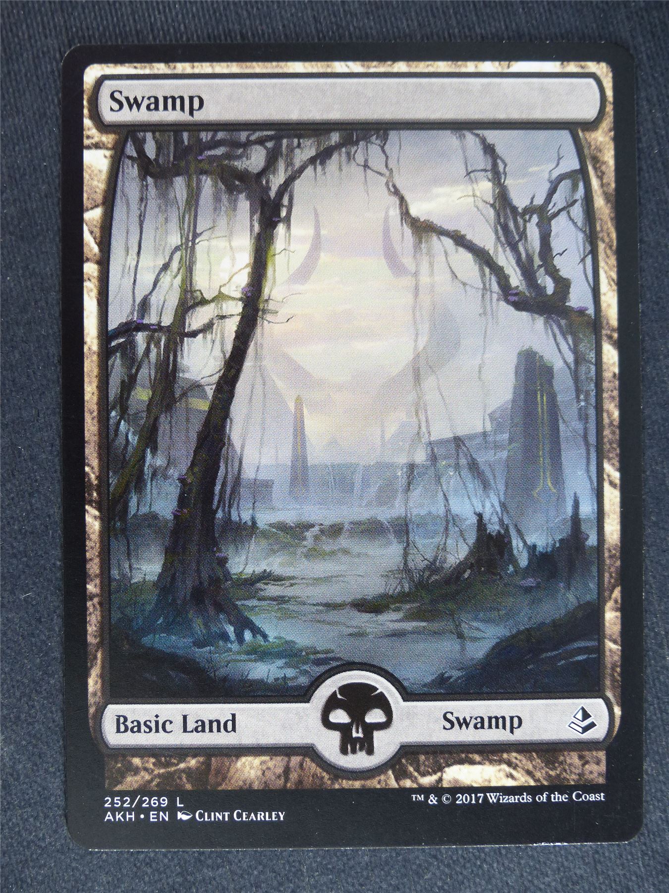 Swamp Full Art 252/269 - Mtg Magic Cards #VF