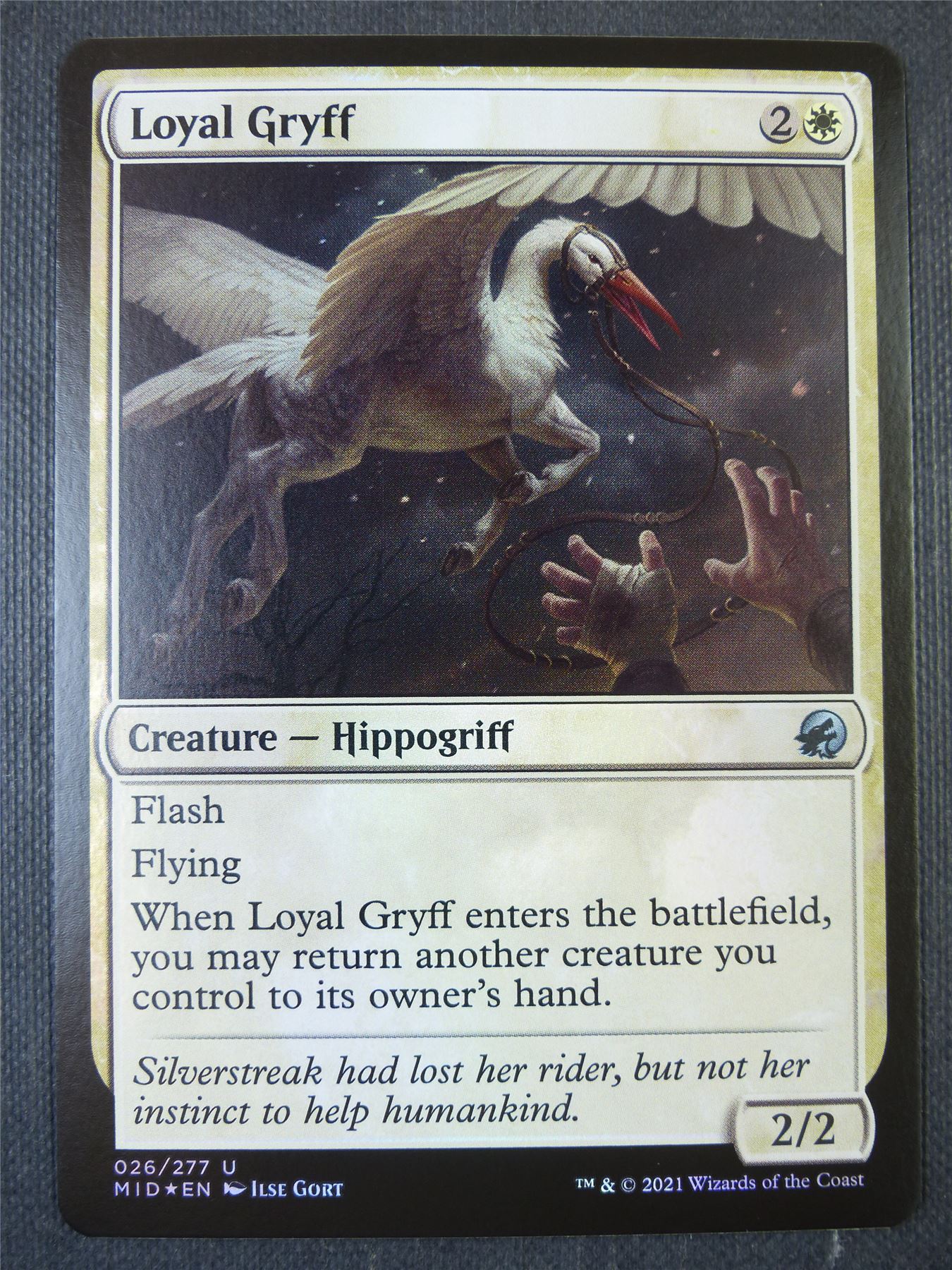 Loyal Gryff Foil - Mtg Card #2B8