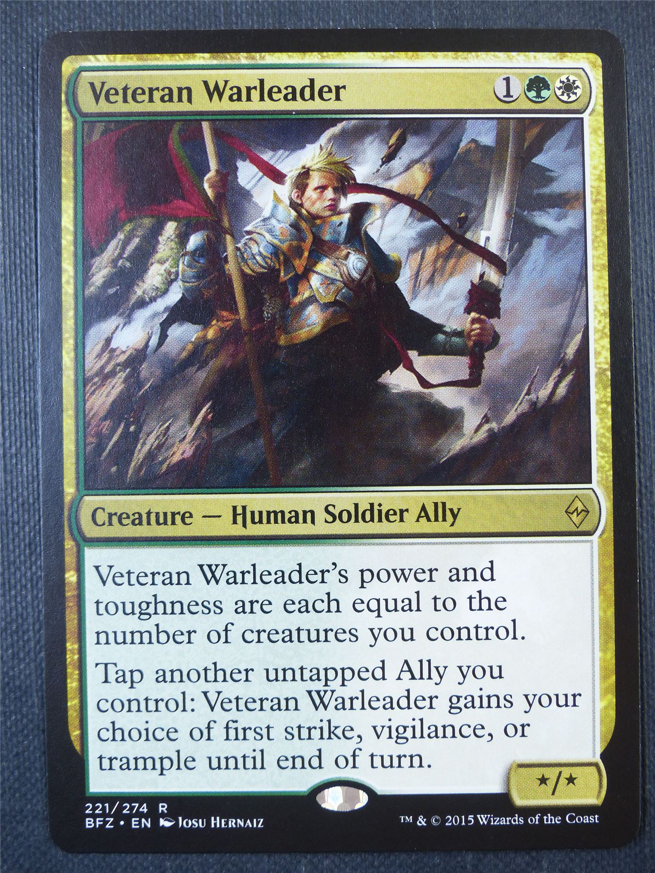 Veteran Warleader - Mtg Card #96C