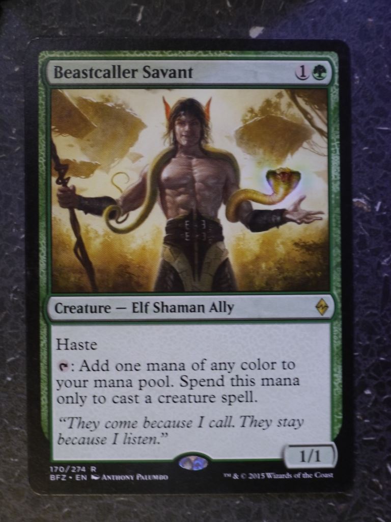 MTG Magic Cards: BEASTCALLER SAVANT RARE # 6I7