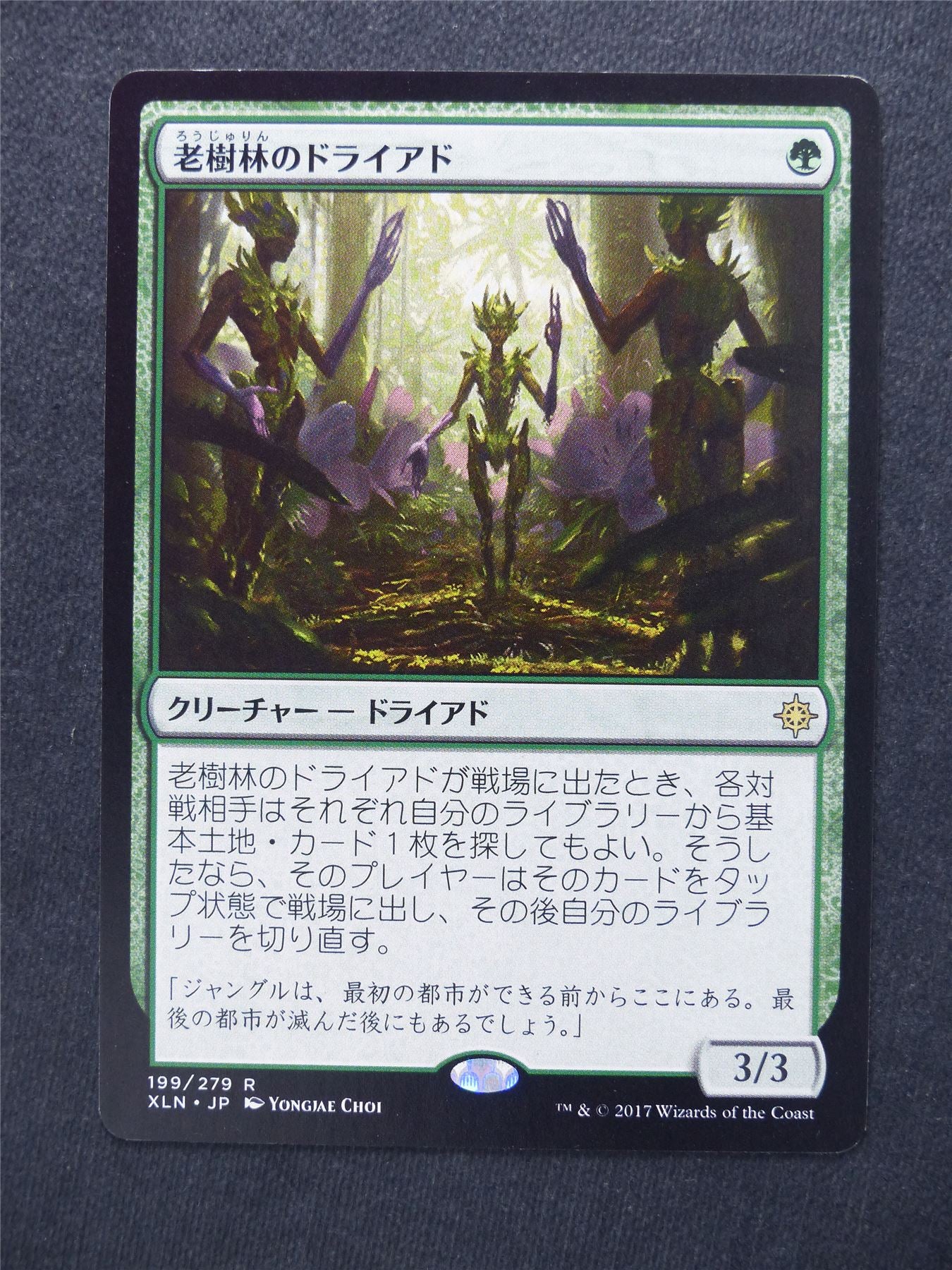 Old-Growth Dryads japanese - Mtg Magic Cards #HP
