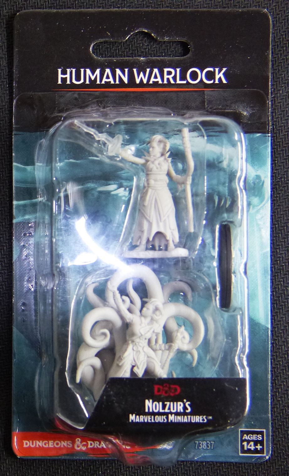 Human Warlock - Dungeons And Dragons - Nolzurs Marvelous Miniatures - Miniature #1BG