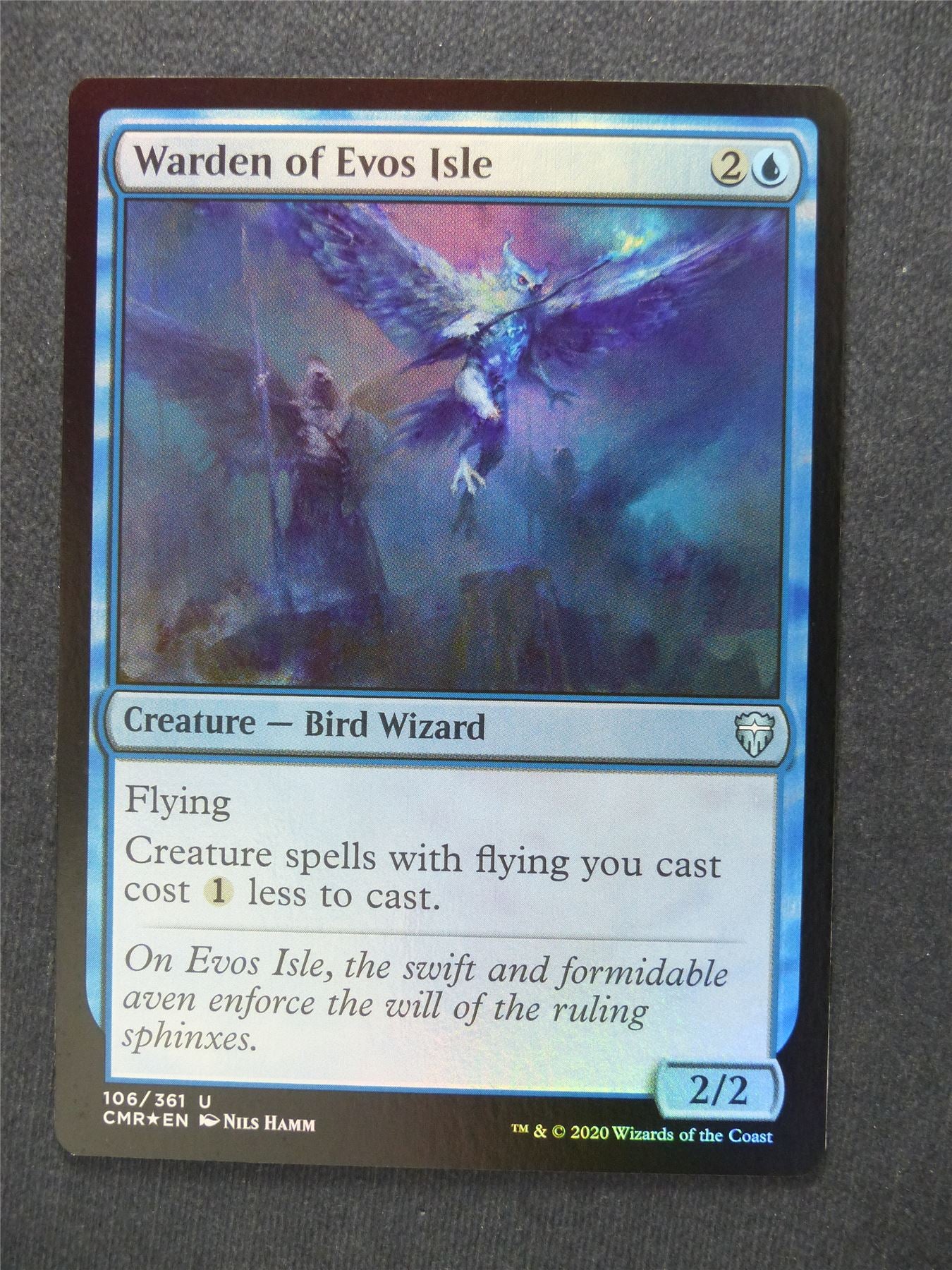 Warden of Evos Isle - Foil