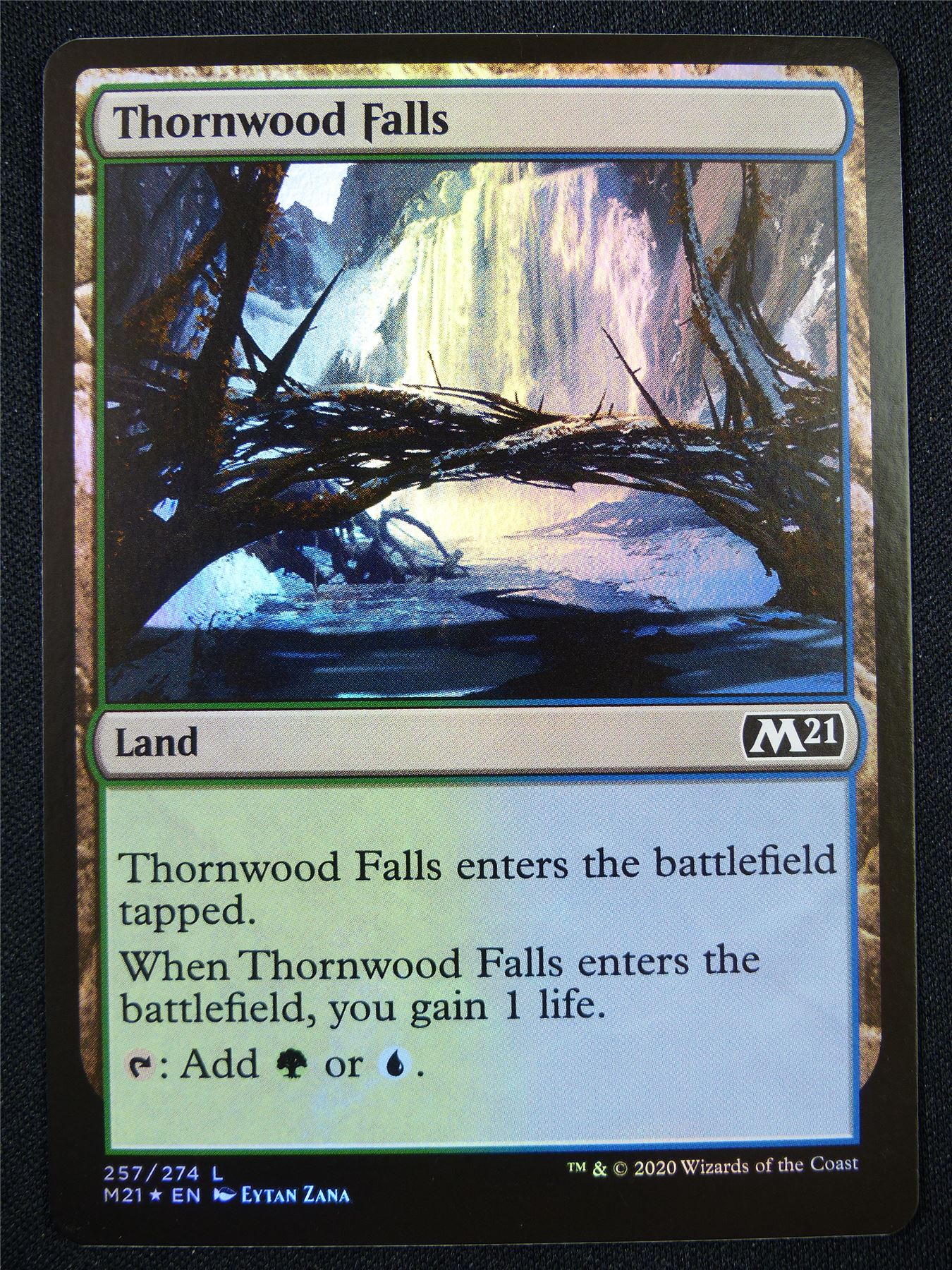 Thornwood Falls Foil - Mtg Card #232