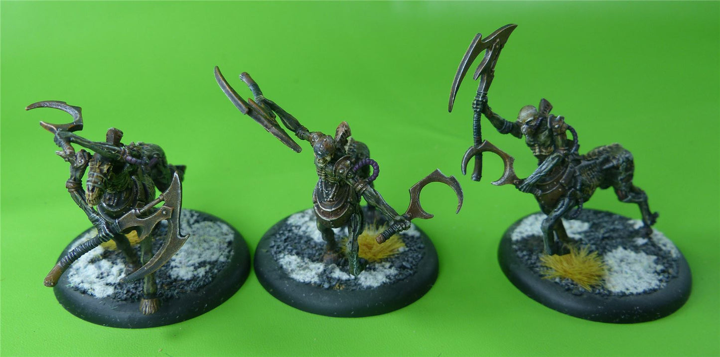 Cryx Soulhunters Painted - Warhammer AoS 40k #857