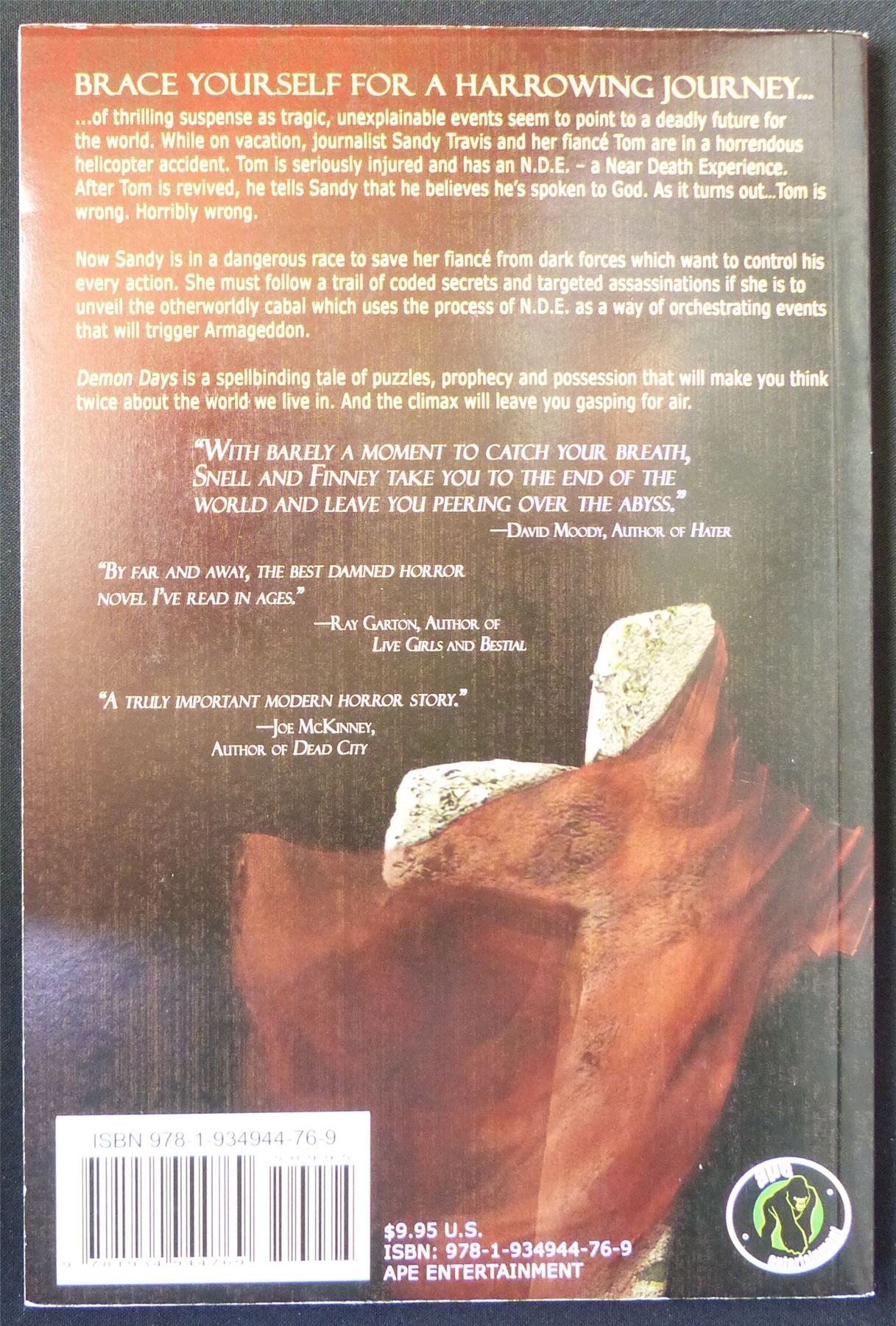 DEMON Days - Apre Entertainment Novel Book Softback #28U