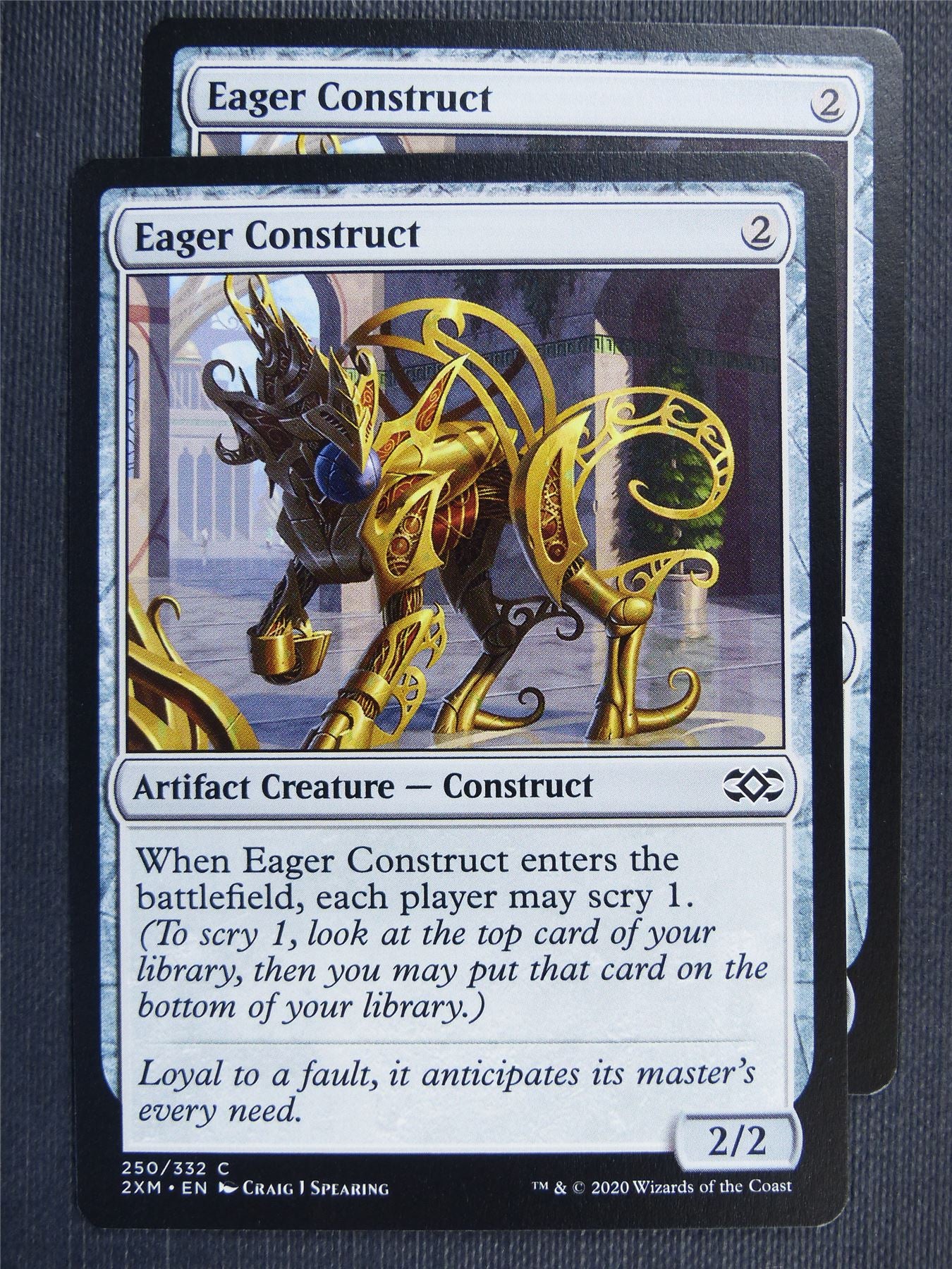 Eager Construct x2 #3N4