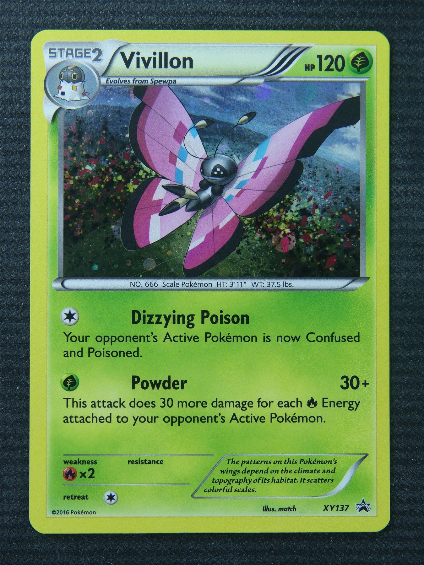 Vivillion XY137 Holo Black Star Promo - Pokemon Card #8AI