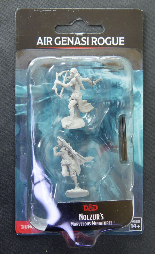 Air Genasi Rogue - Nolzurs Marvelous Miniatures - Dungeons And Dragons #9Y
