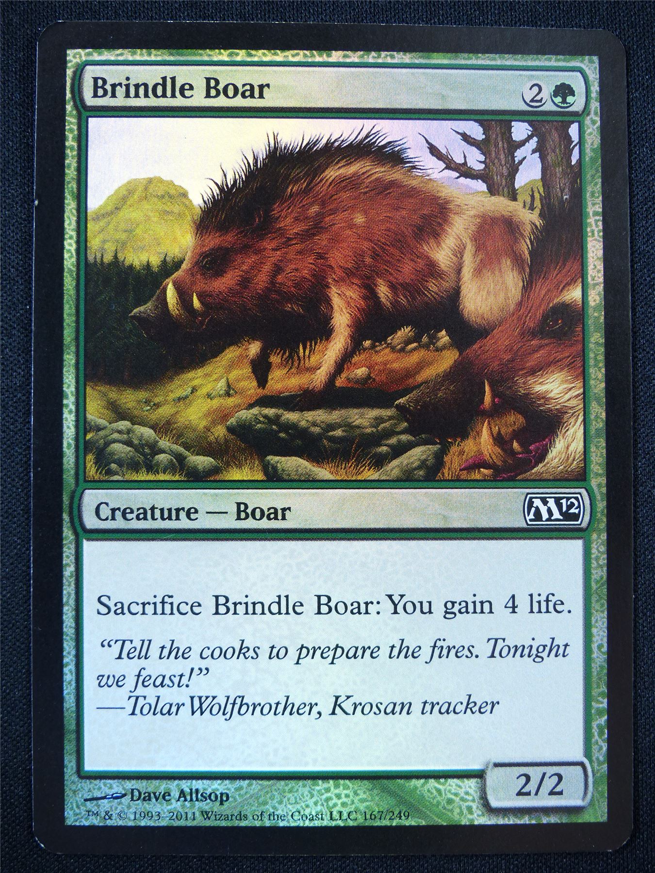 Brindle Boar Foil - Mtg Card #1ZW