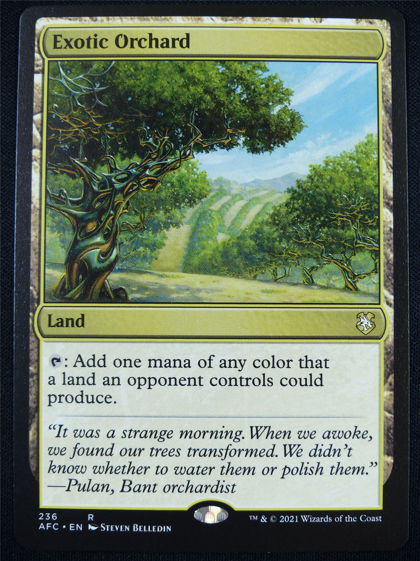 Exotic Orchard - AFC - Mtg Card #OT