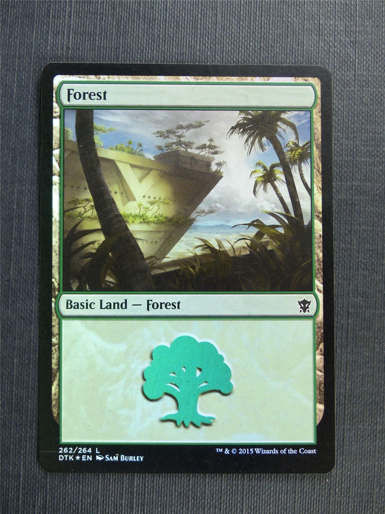 Forest 262/264 Foil - Mtg Magic Cards #525