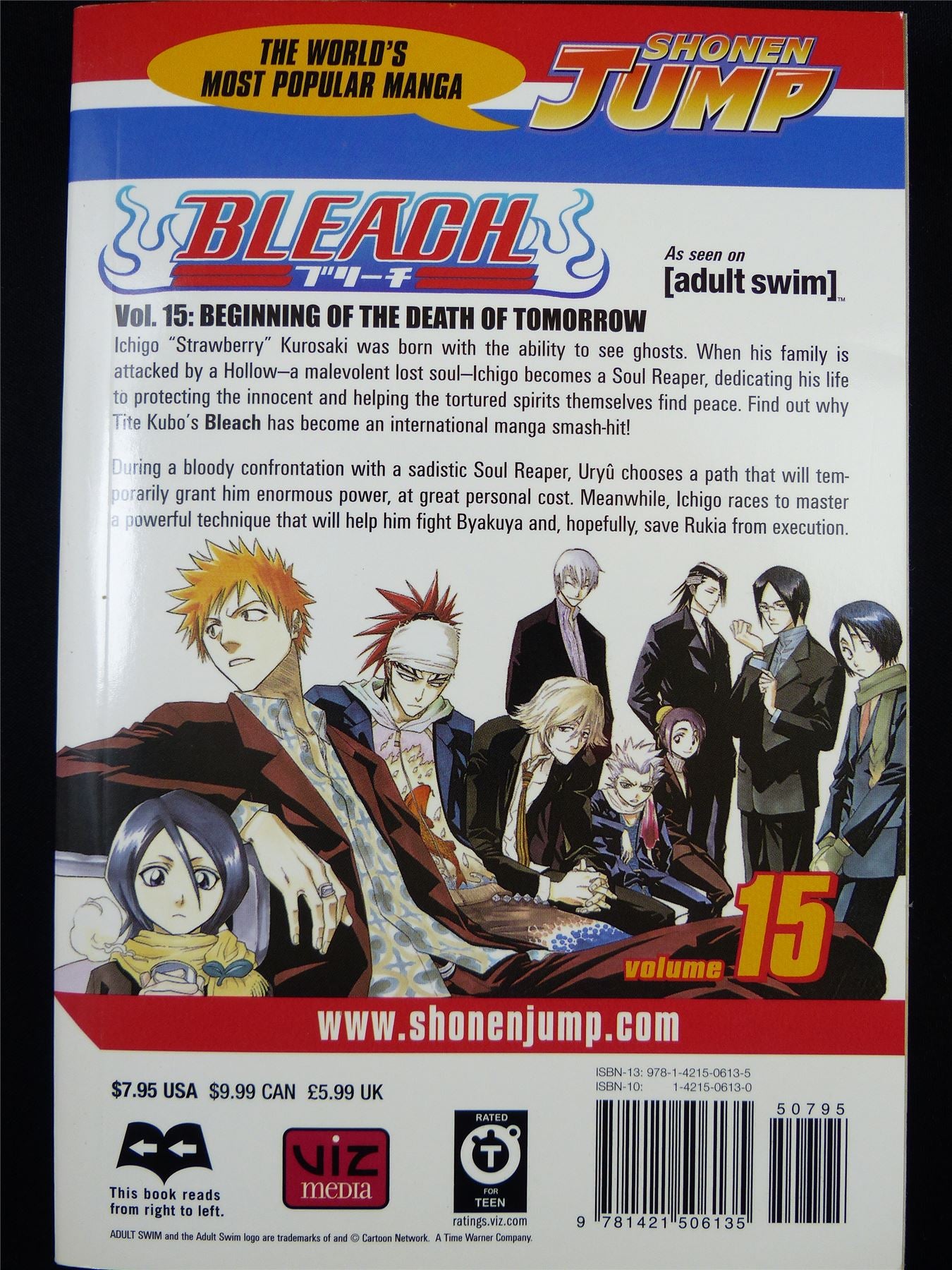 BLEACH Volume 15 - Shonen Jump Viz Manga #3IP