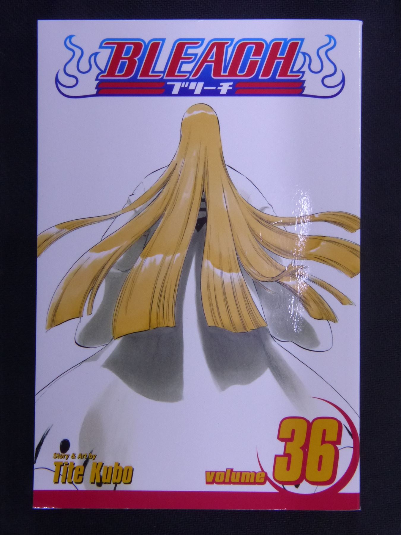 BLEACH Manga Volume 11