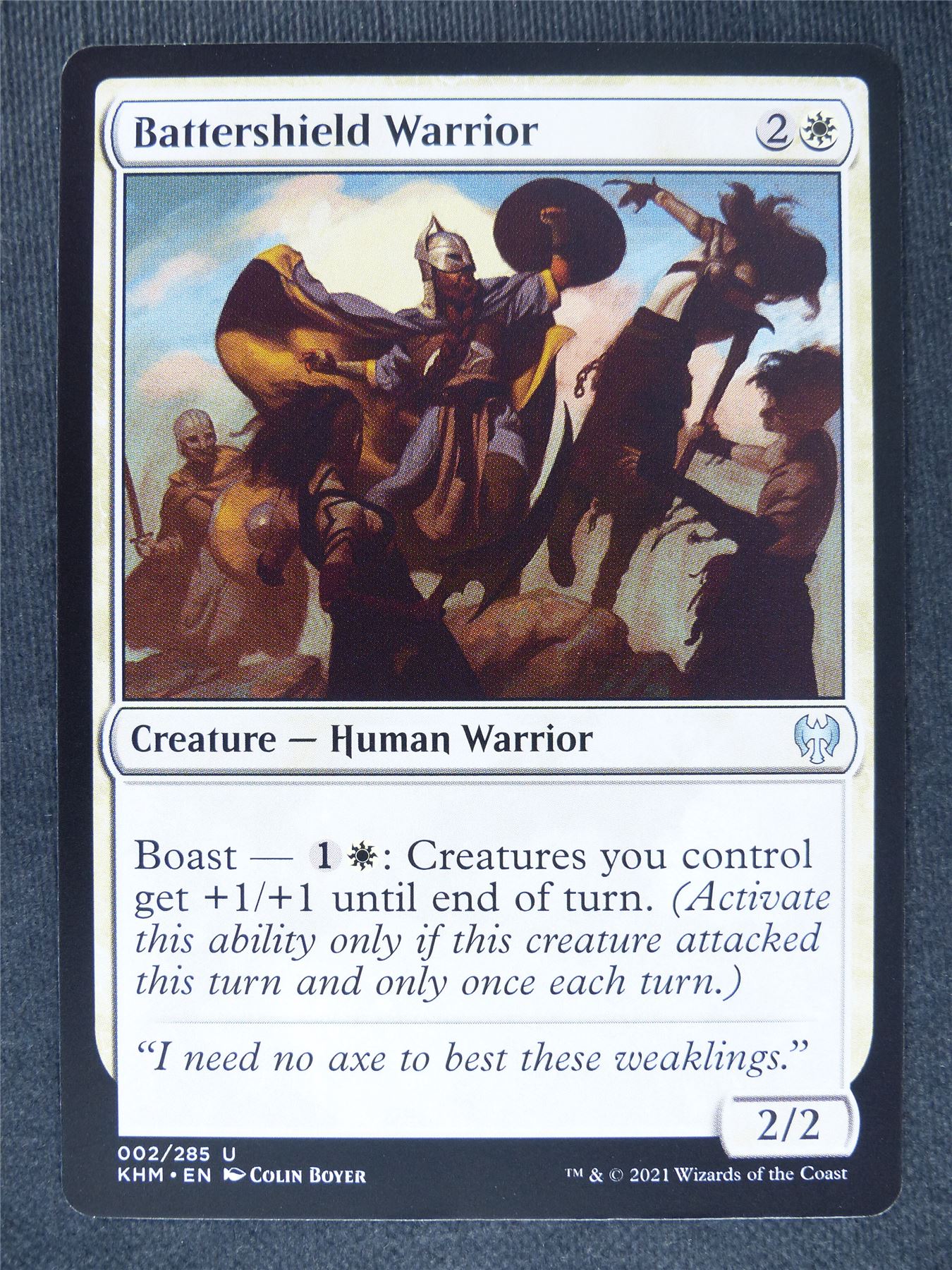 Battershield Warrior #MQ